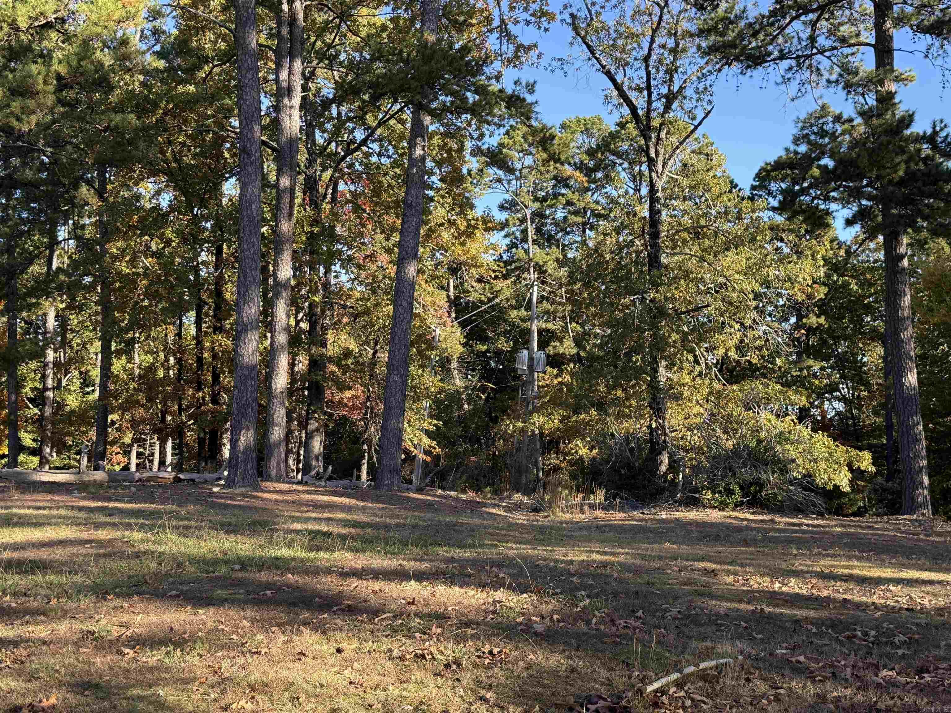 111 Desoto Boulevard Property Photo 16