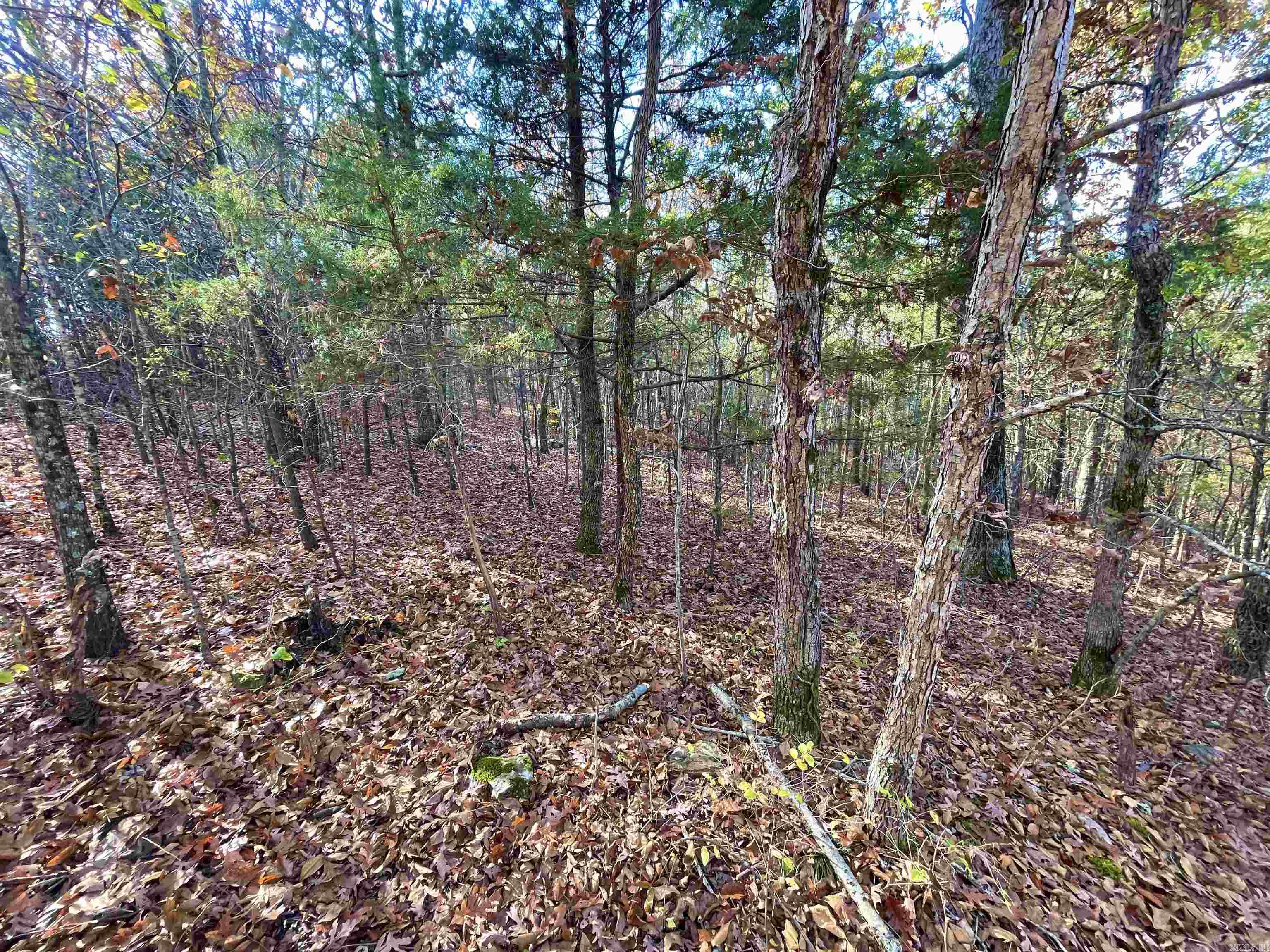10 Eagle Ridge Dr. Property Photo 7