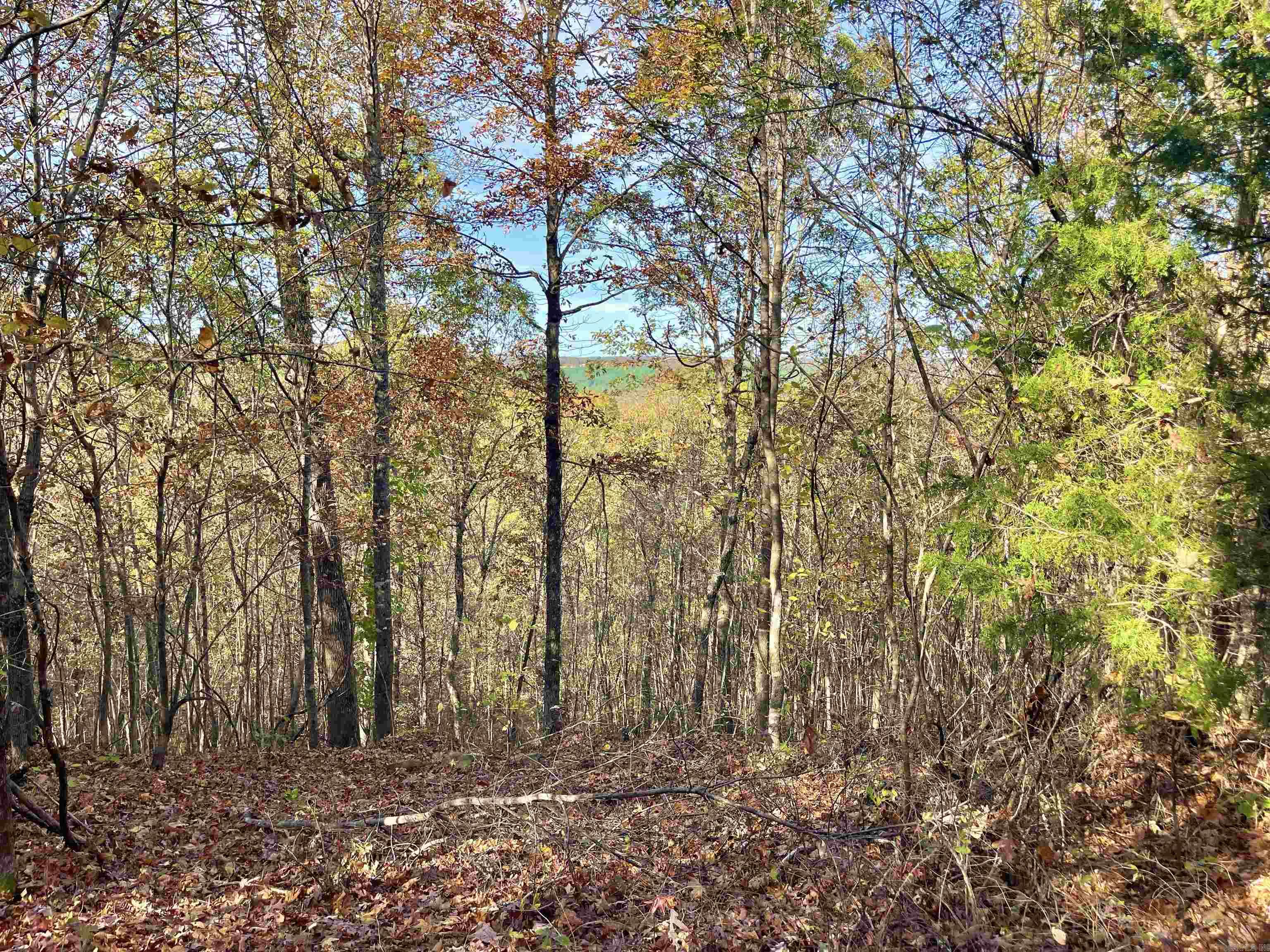 10 Eagle Ridge Dr. Property Photo 13