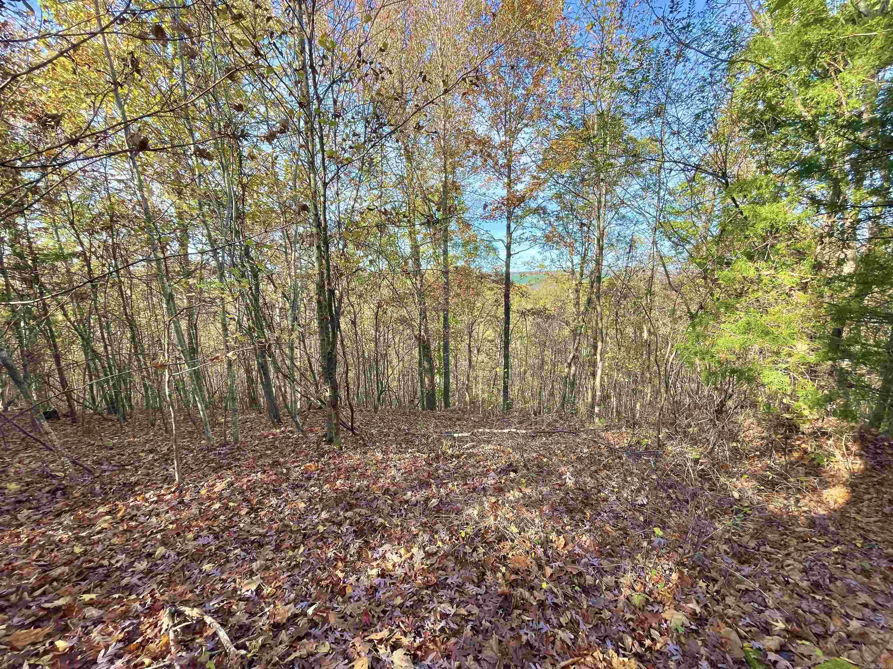 10 Eagle Ridge Dr. Property Photo 30