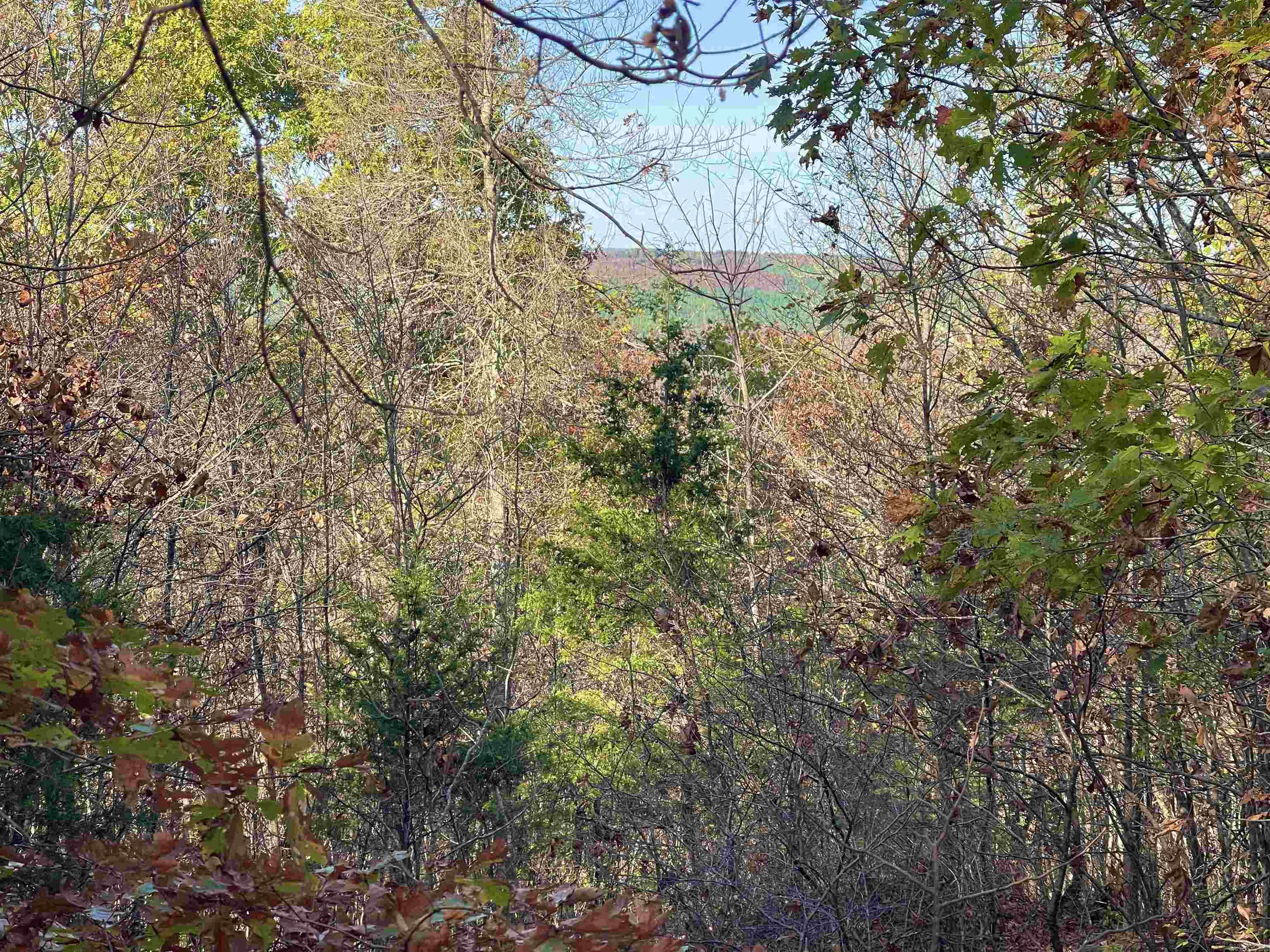 40 Eagle Ridge Dr. Property Photo 13