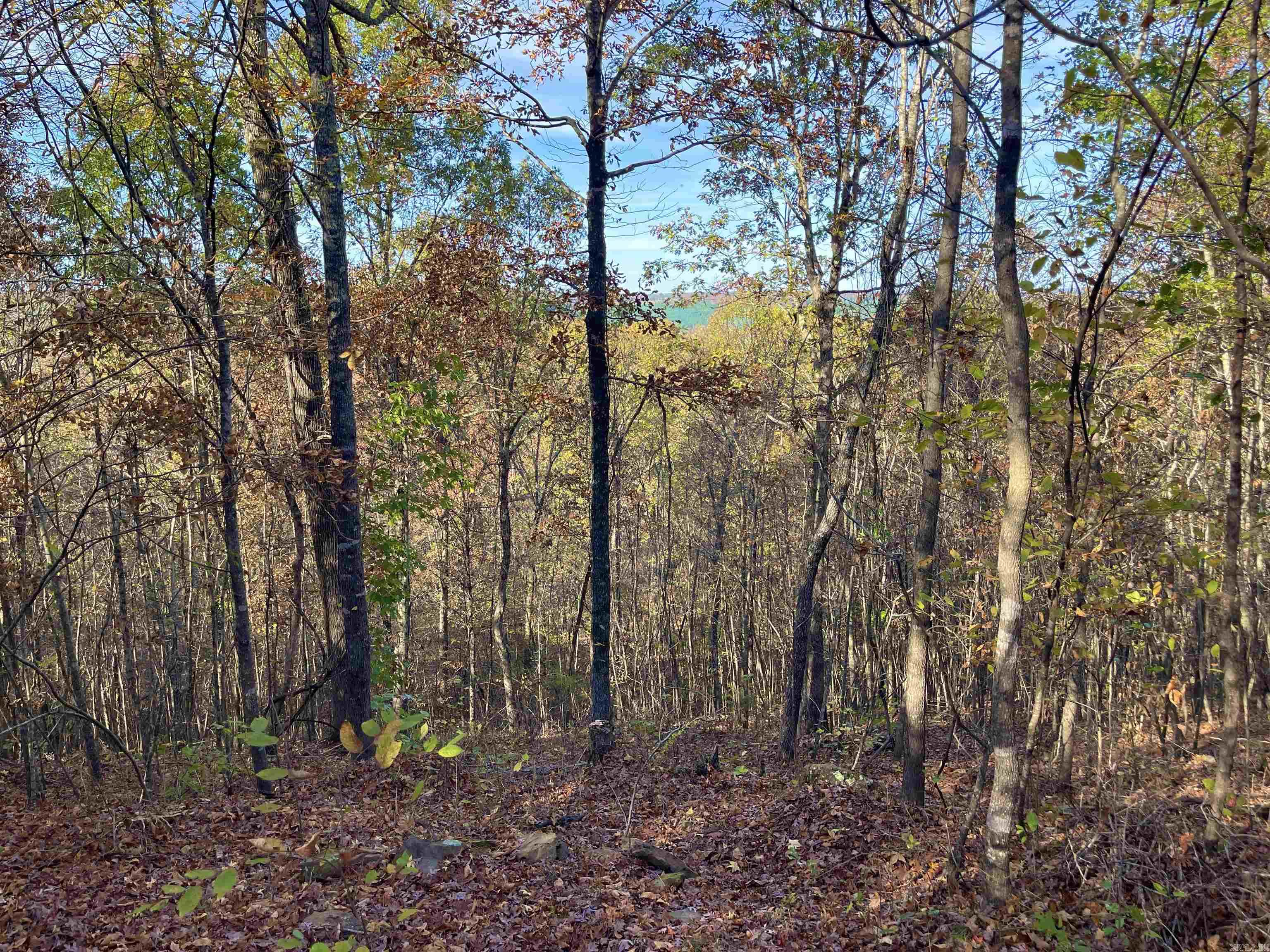 40 Eagle Ridge Dr. Property Photo 50