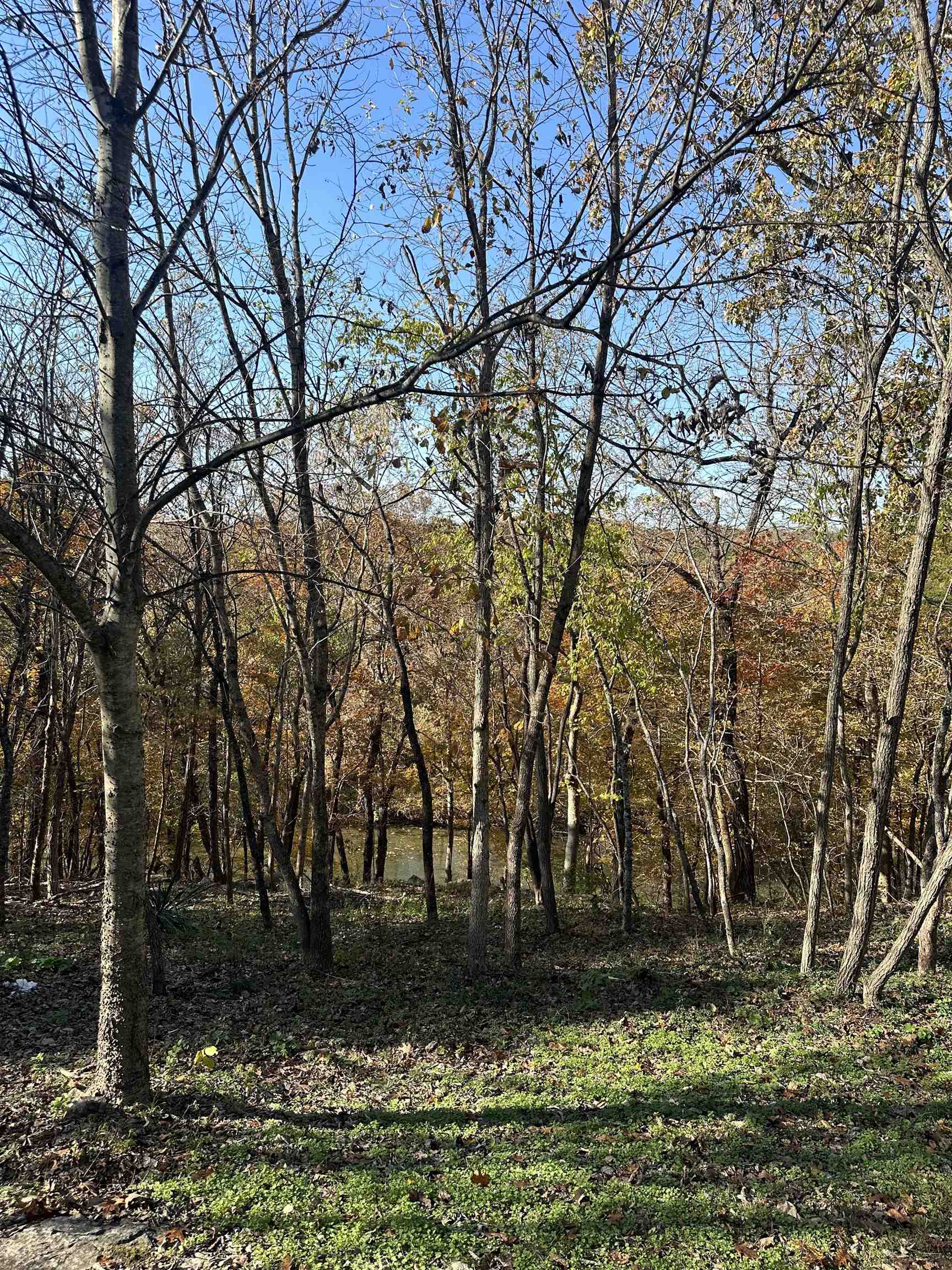 100 Powhatan Property Photo 2
