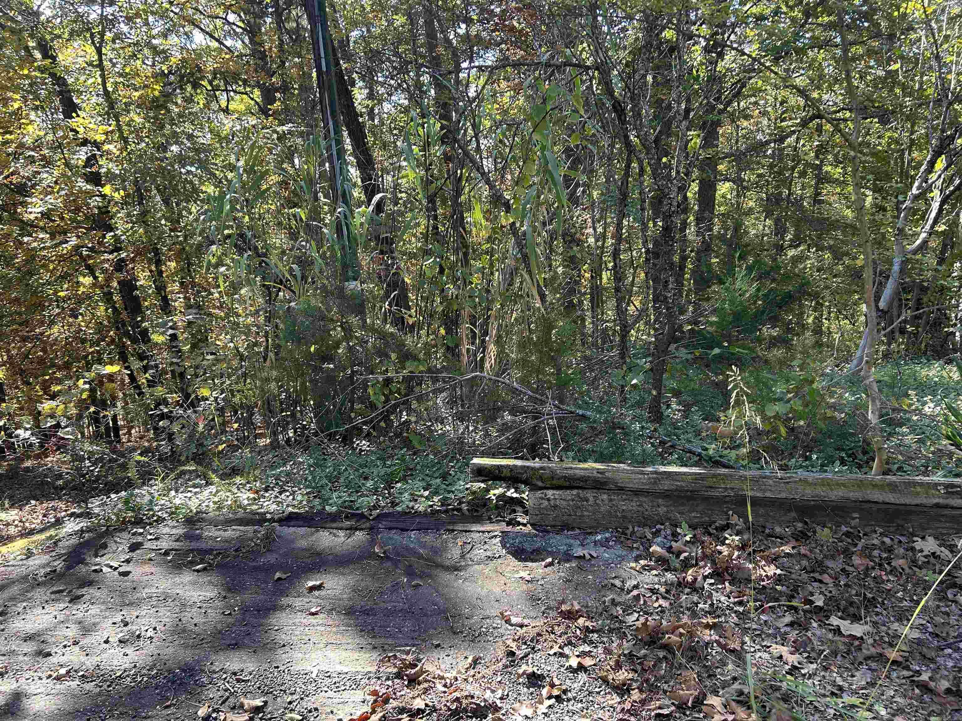 173 Quiet Bend Court Property Photo 1