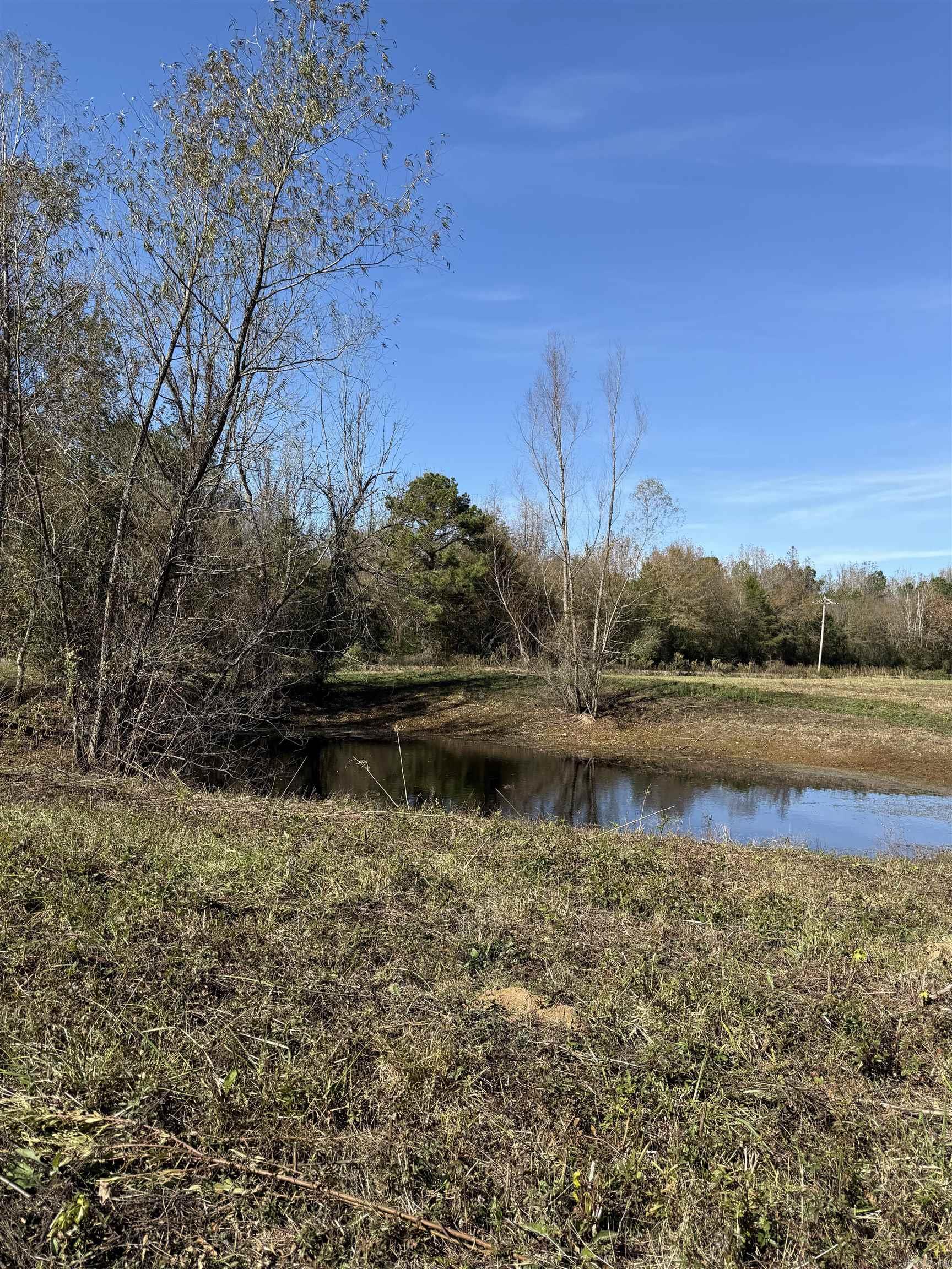 2744 Corinth Road Property Photo 8