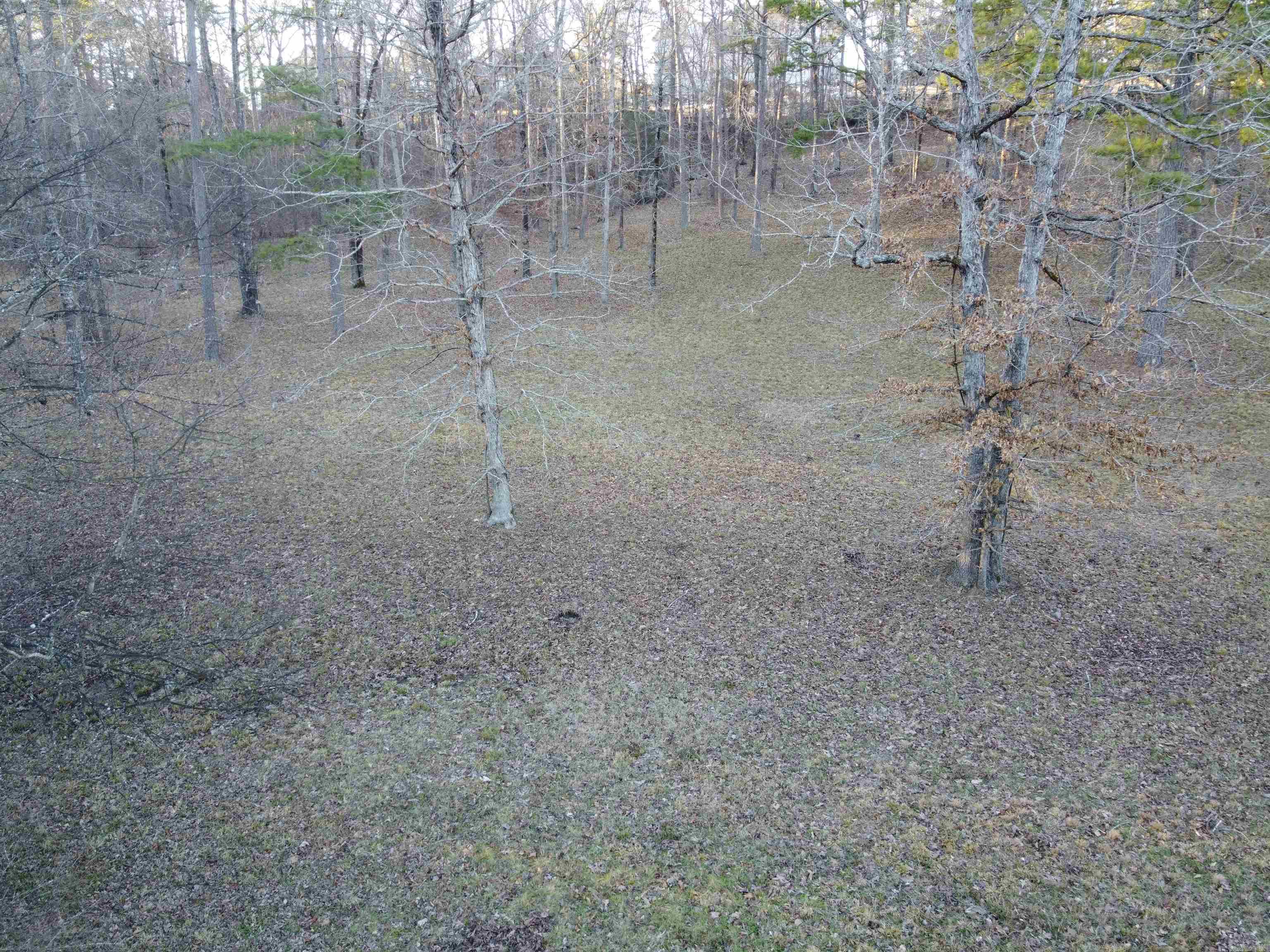 Lot 62 Lake Forest Shores Property Photo 3