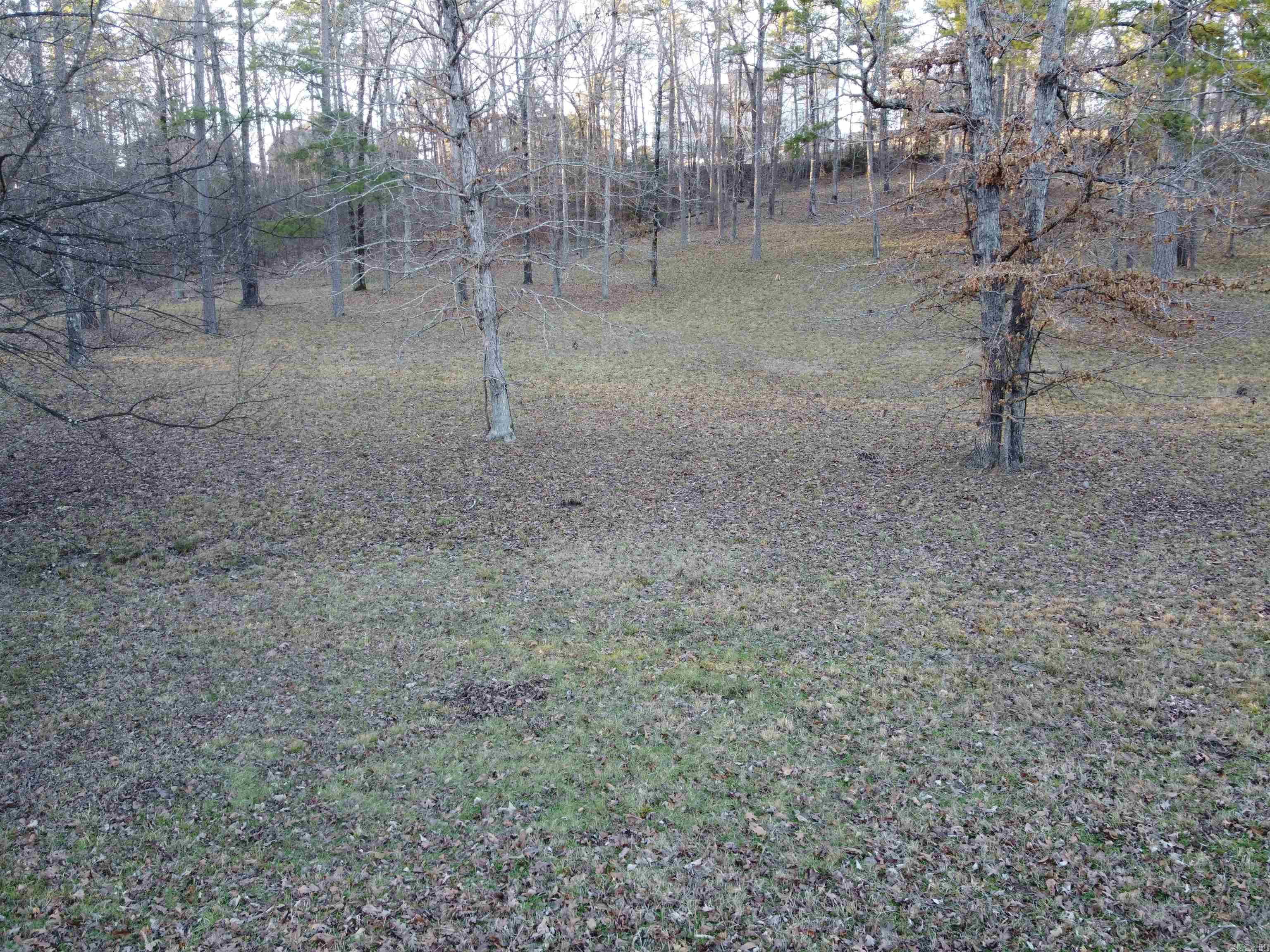 Lot 66 Lake Forest Shores Property Photo 4