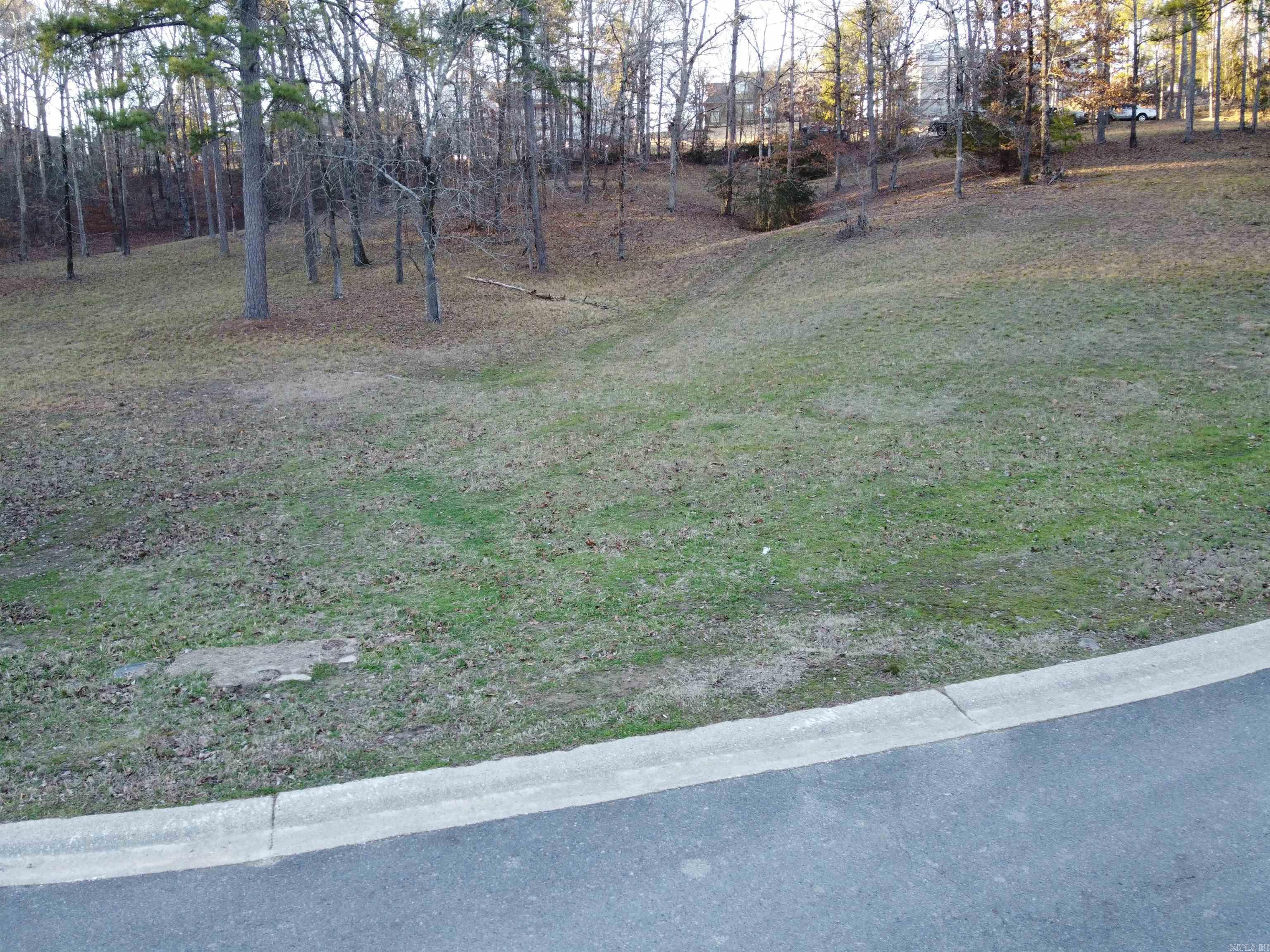 Lot 66 Lake Forest Shores Property Photo 5
