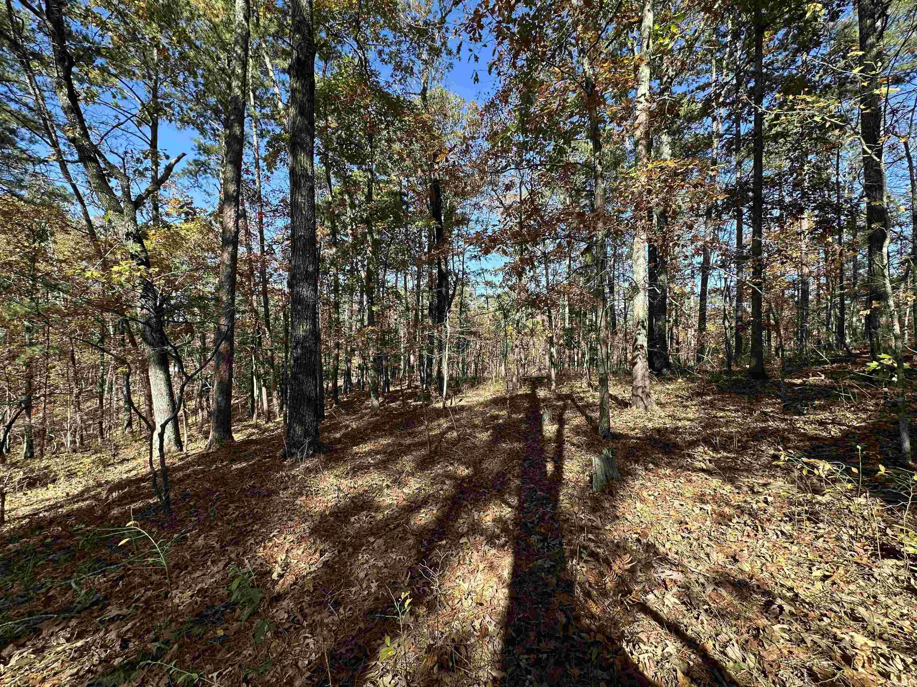 78 Fenix Drive Property Photo 1
