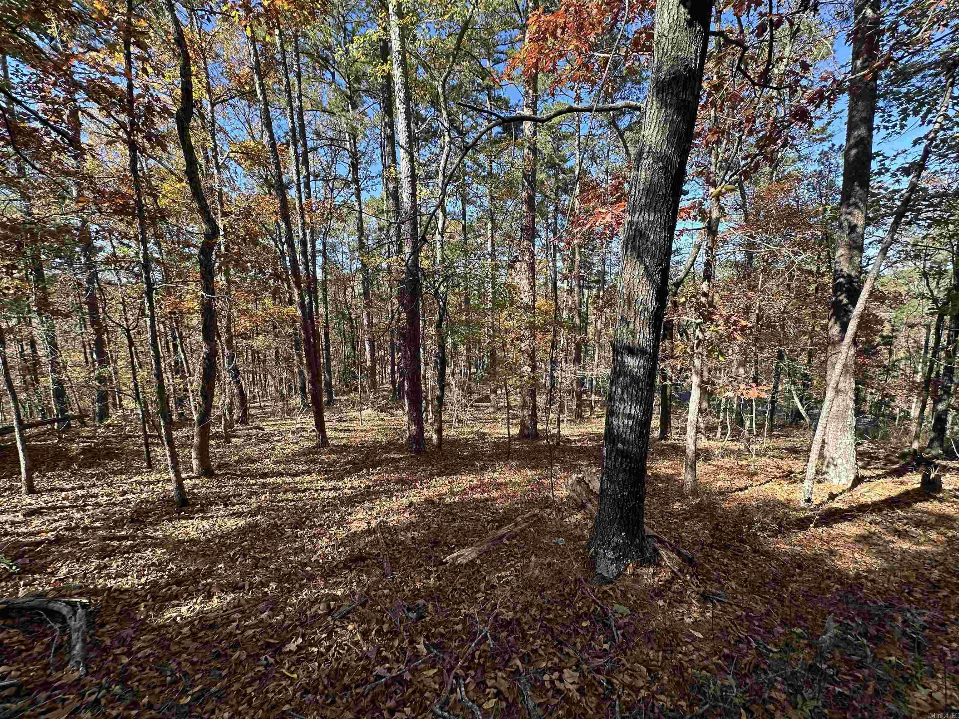 78 Fenix Drive Property Photo 2