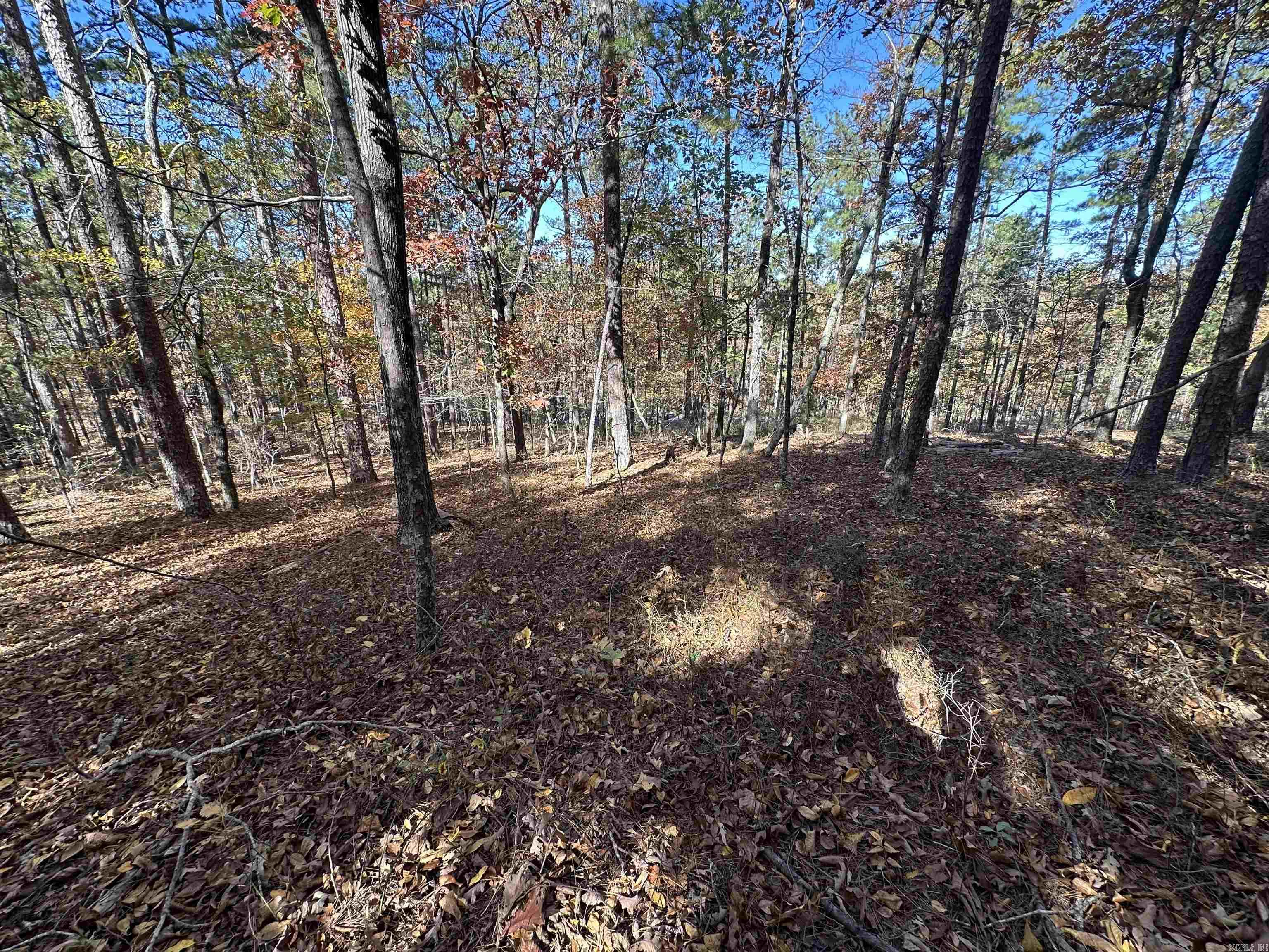 78 Fenix Drive Property Photo 3