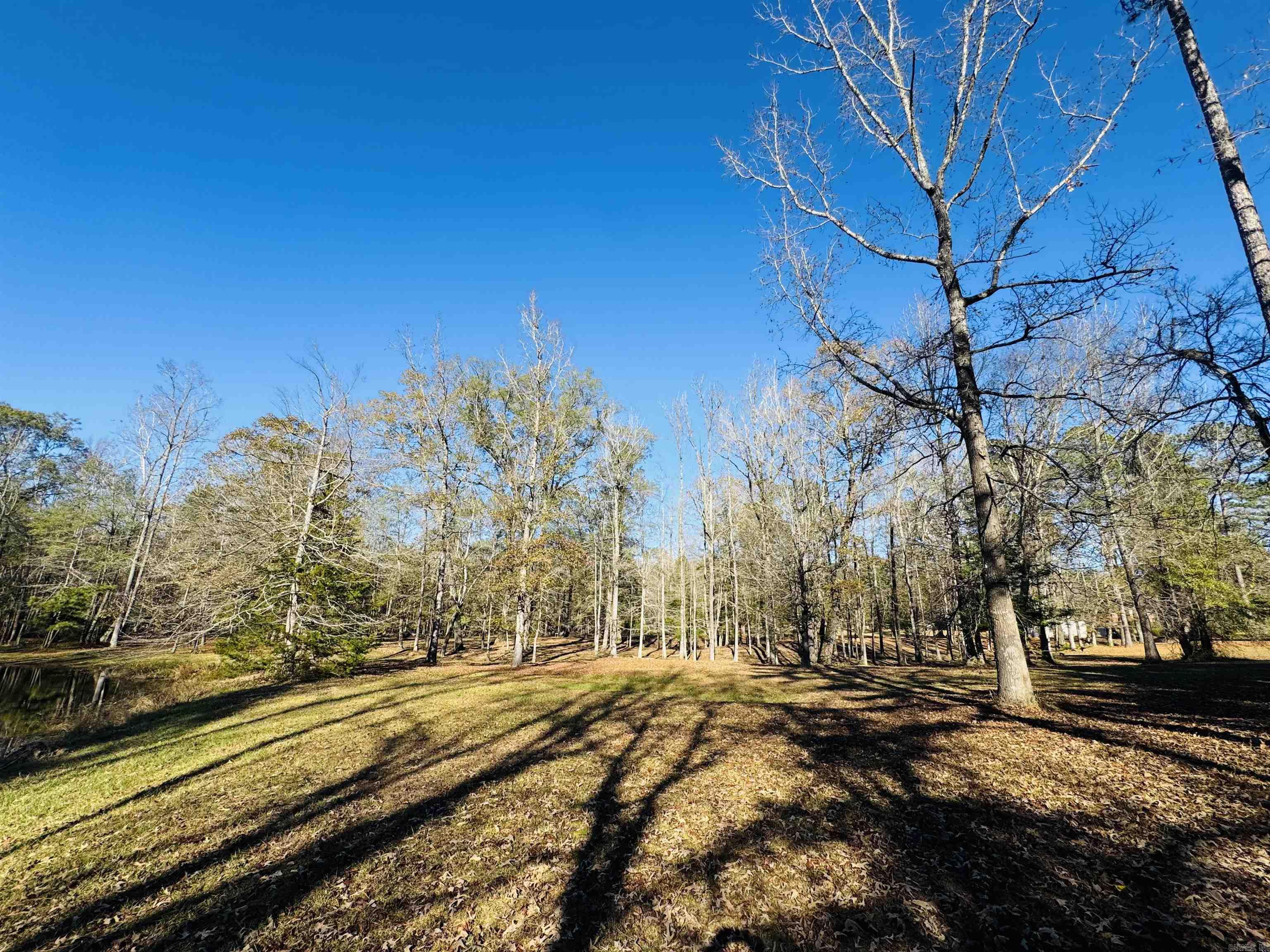 2200 Maul Road Property Photo 12
