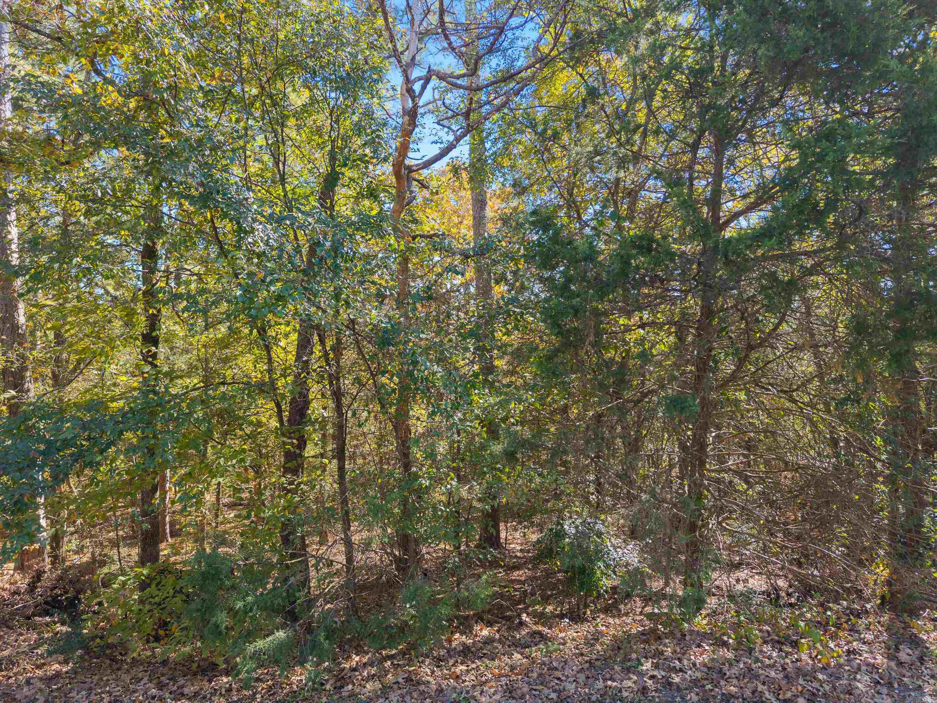 2 Conquista Lane Property Photo 15
