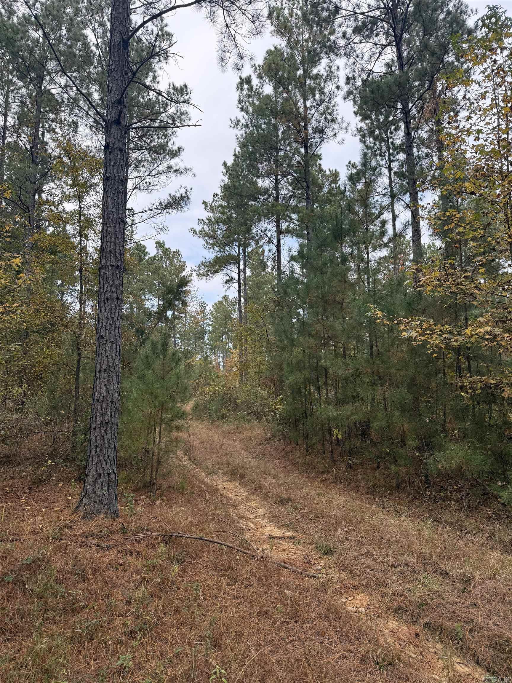Tbd Hitt Road Property Photo 1