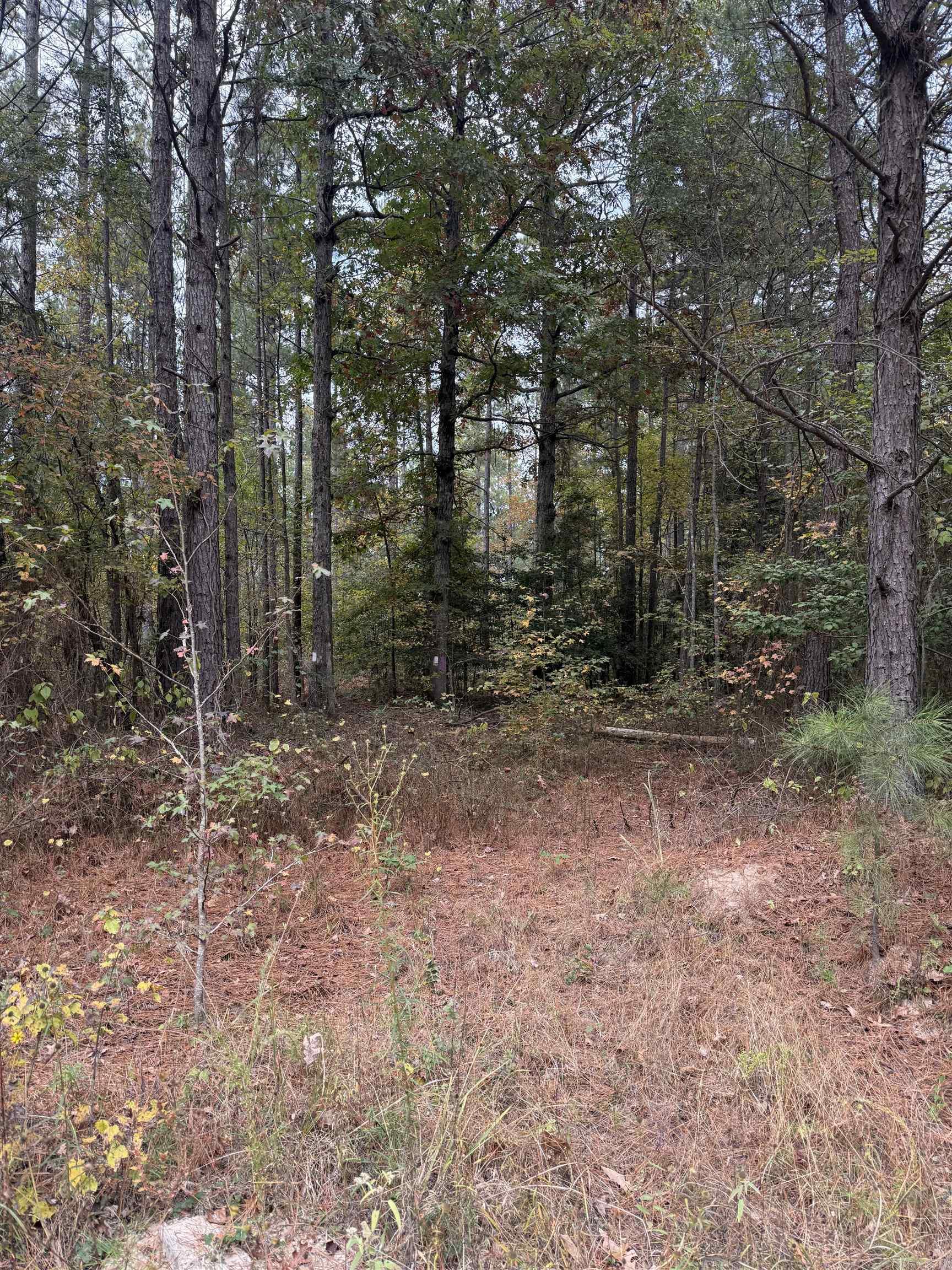 Tbd Hitt Road Property Photo 2