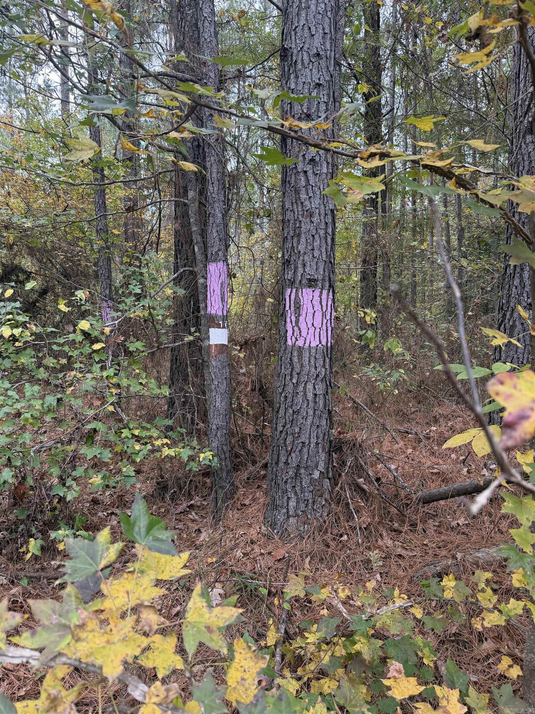 Tbd Hitt Road Property Photo 3