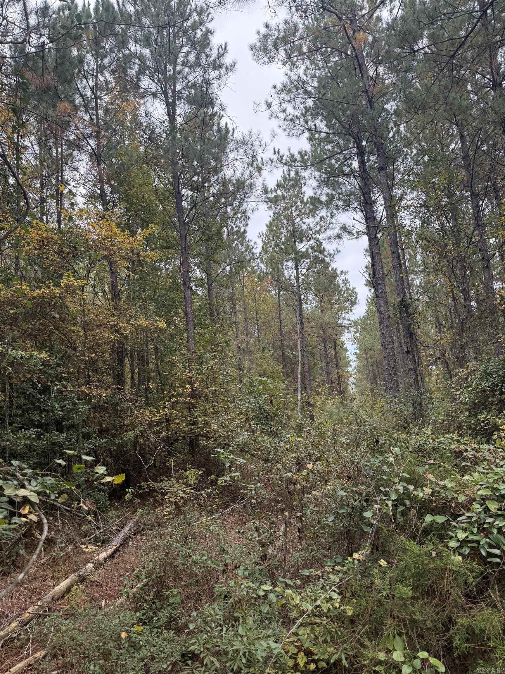 Tbd Hitt Road Property Photo 4