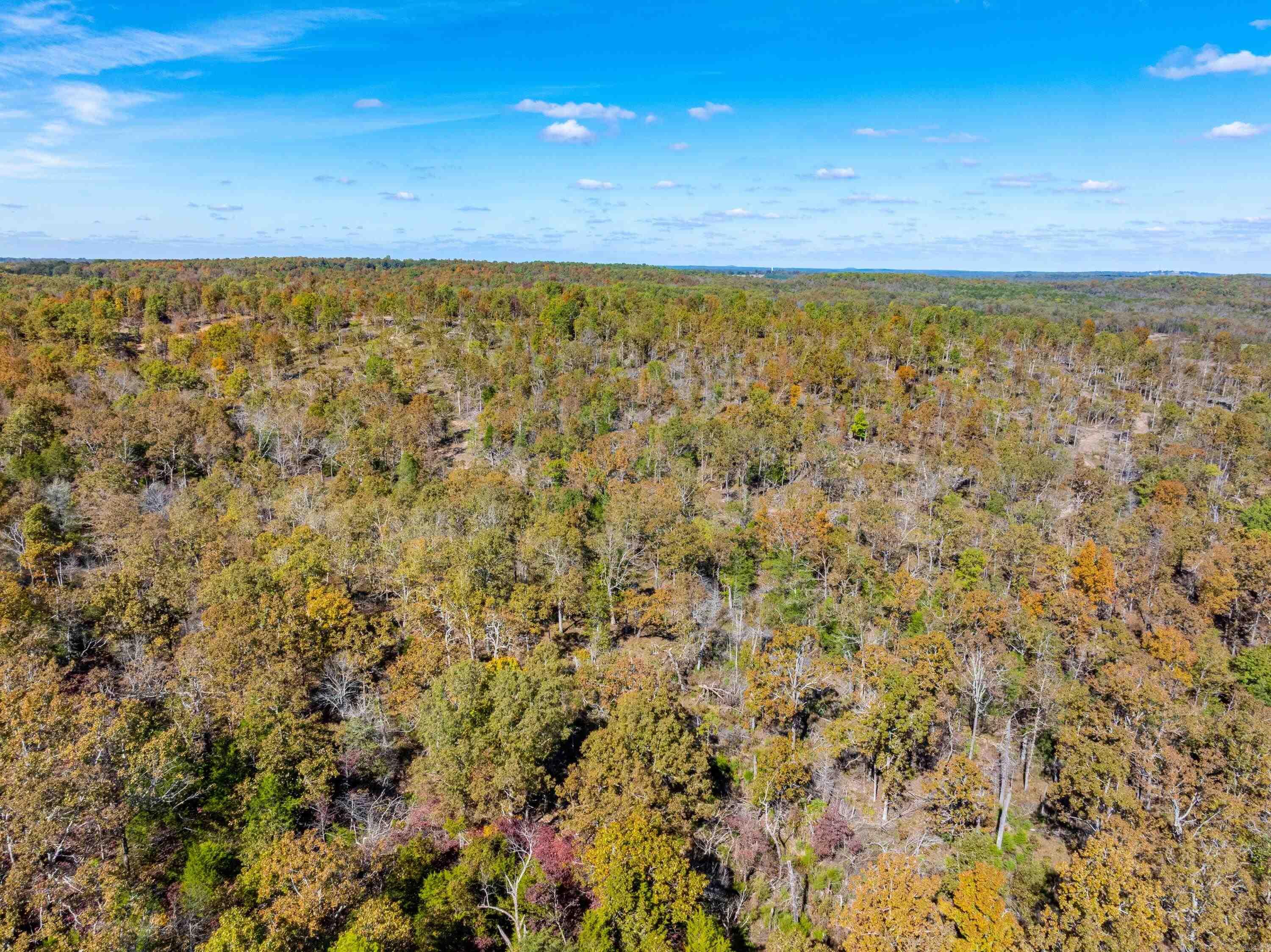 Easy K Rd Property Photo 18