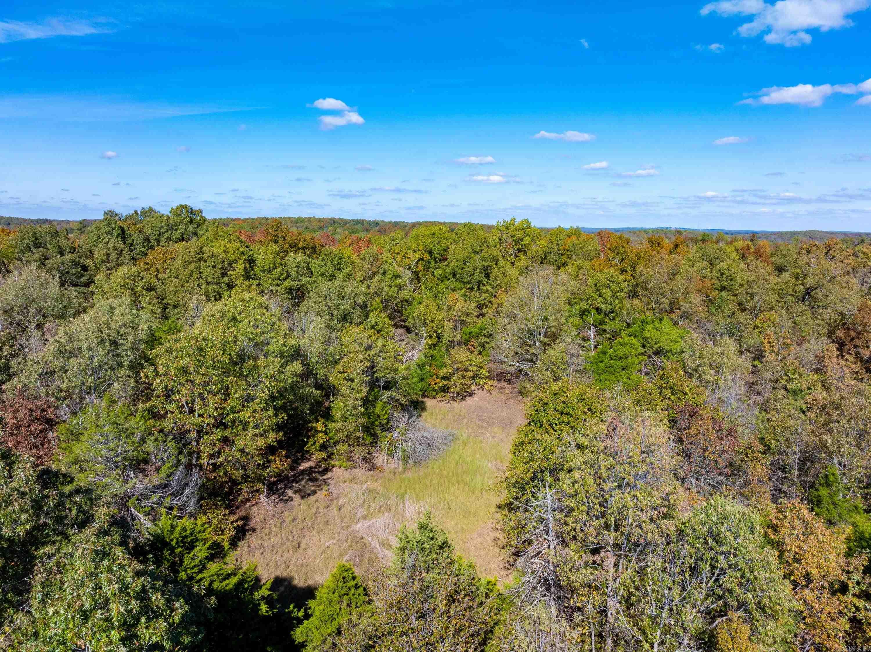 Easy K Rd Property Photo 19