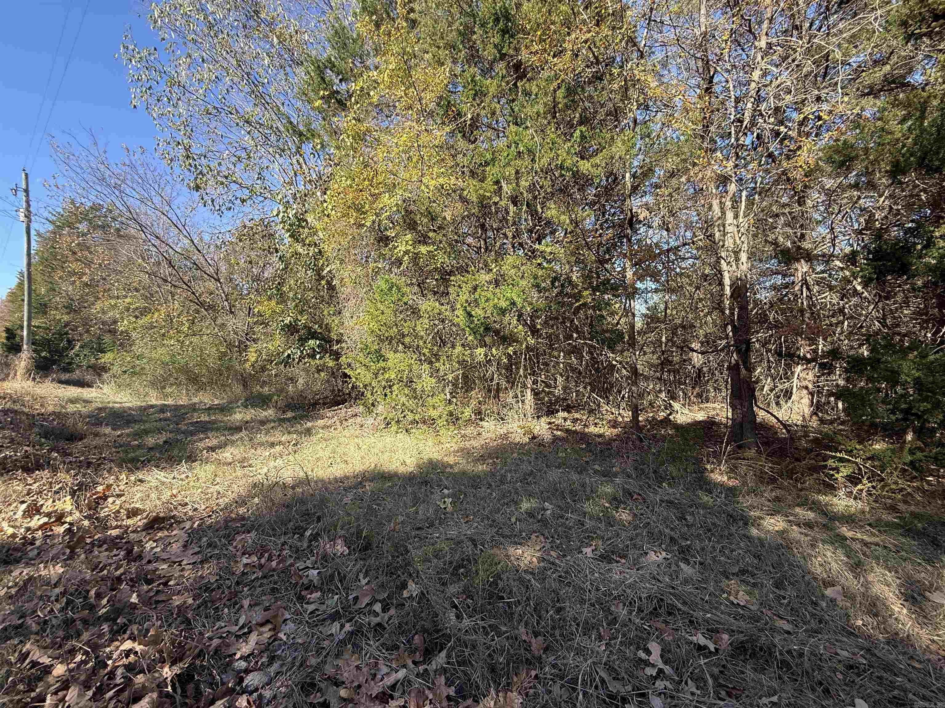 Skyline Drive Property Photo 1