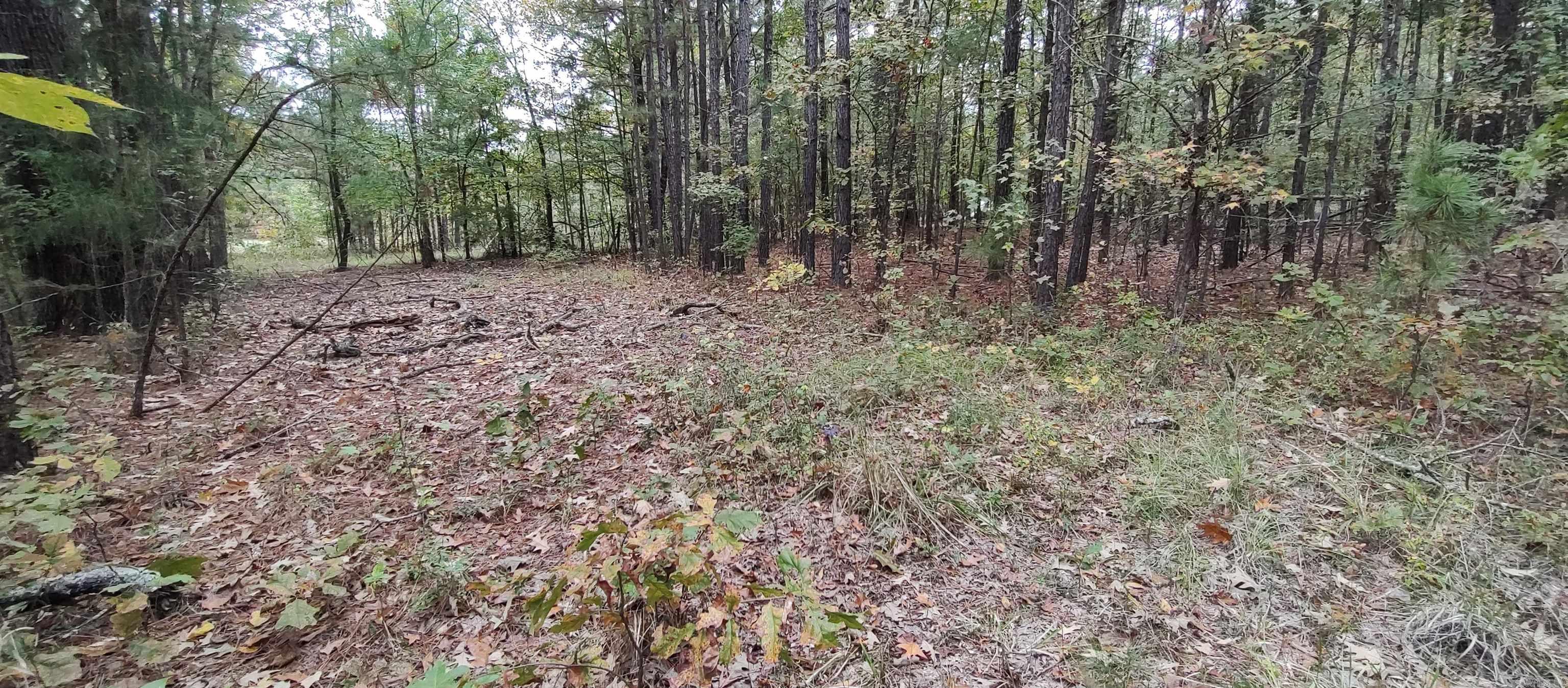 2 Acres Hwy 79 N Property Photo 4