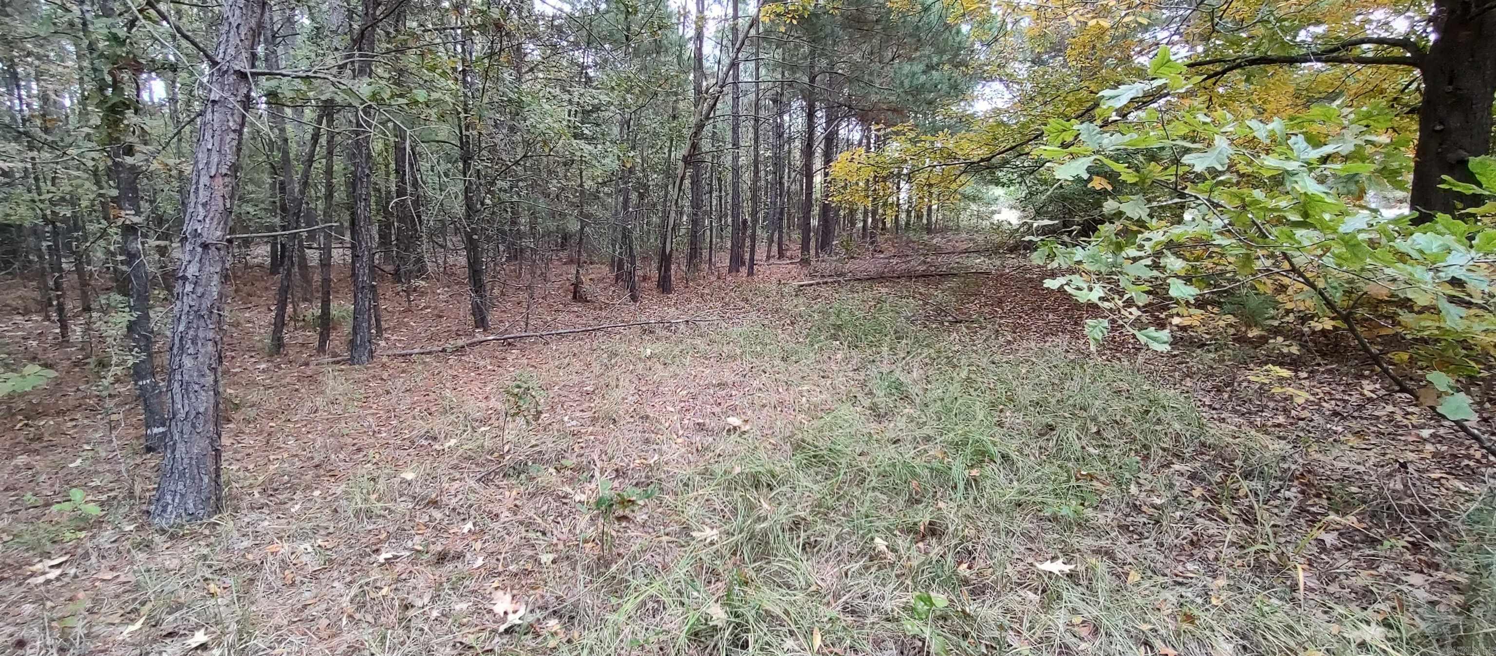 2 Acres Hwy 79 N Property Photo 6
