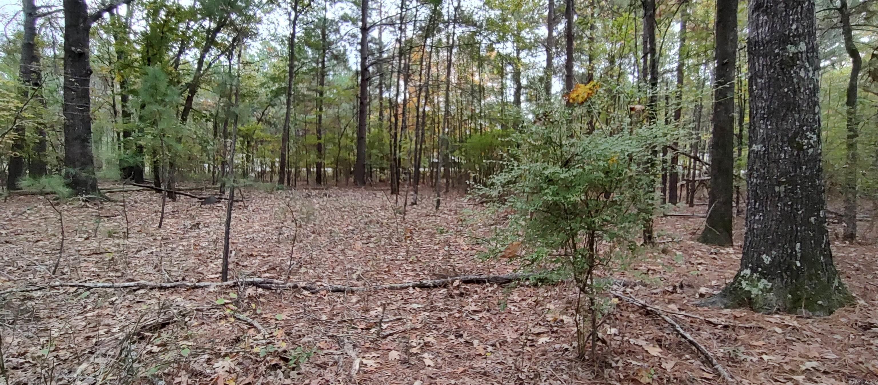 2 Acres Hwy 79 N Property Photo 9