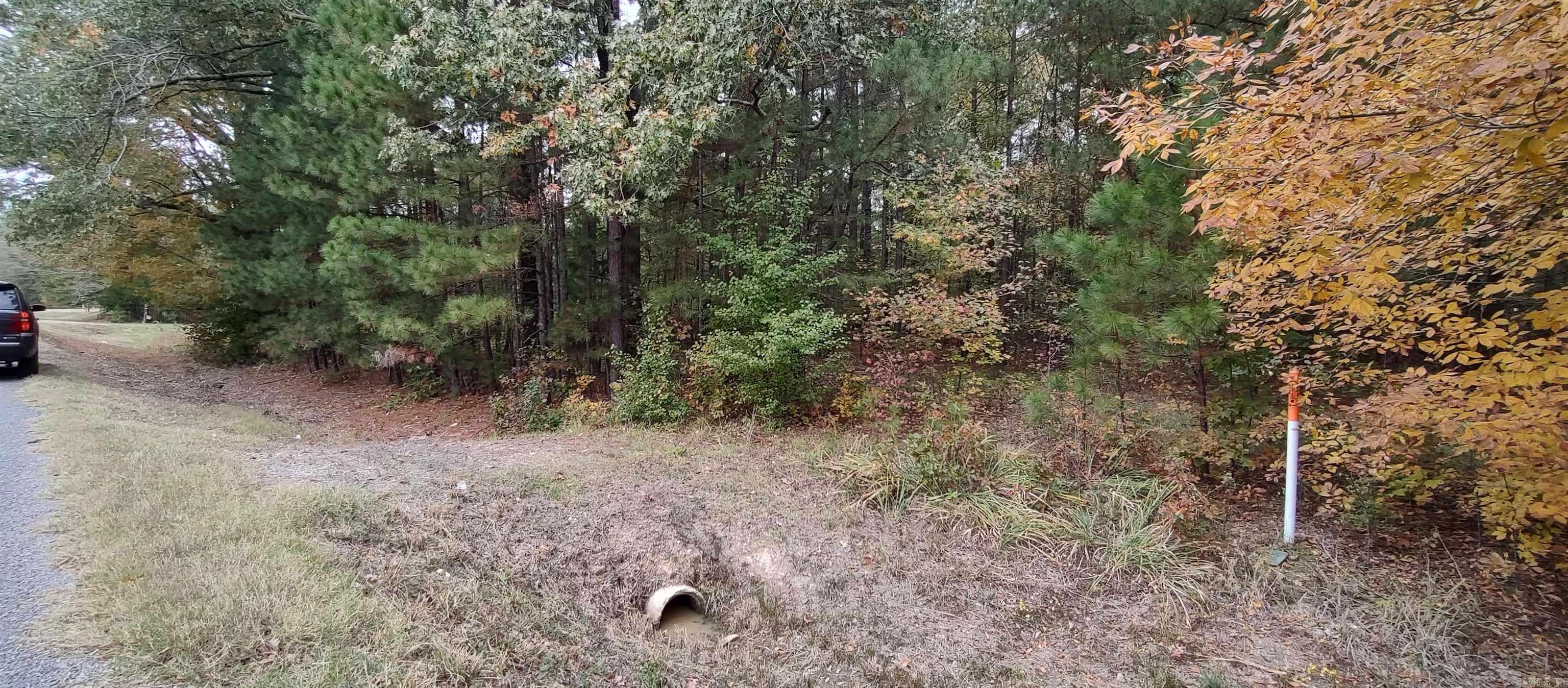 2 Acres Hwy 79 N Property Photo 11
