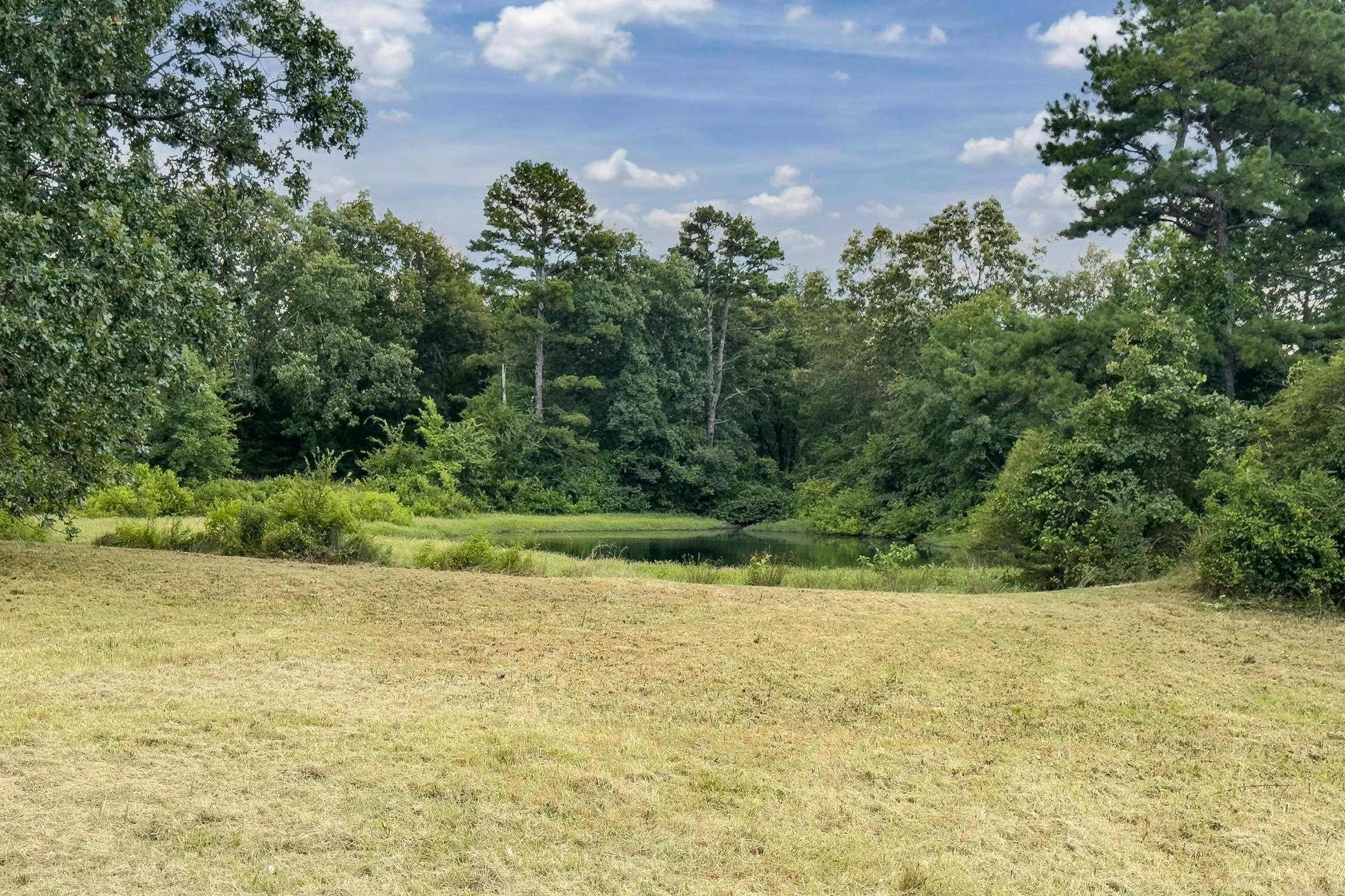 Tbd Byrd Vaught Property Photo 10
