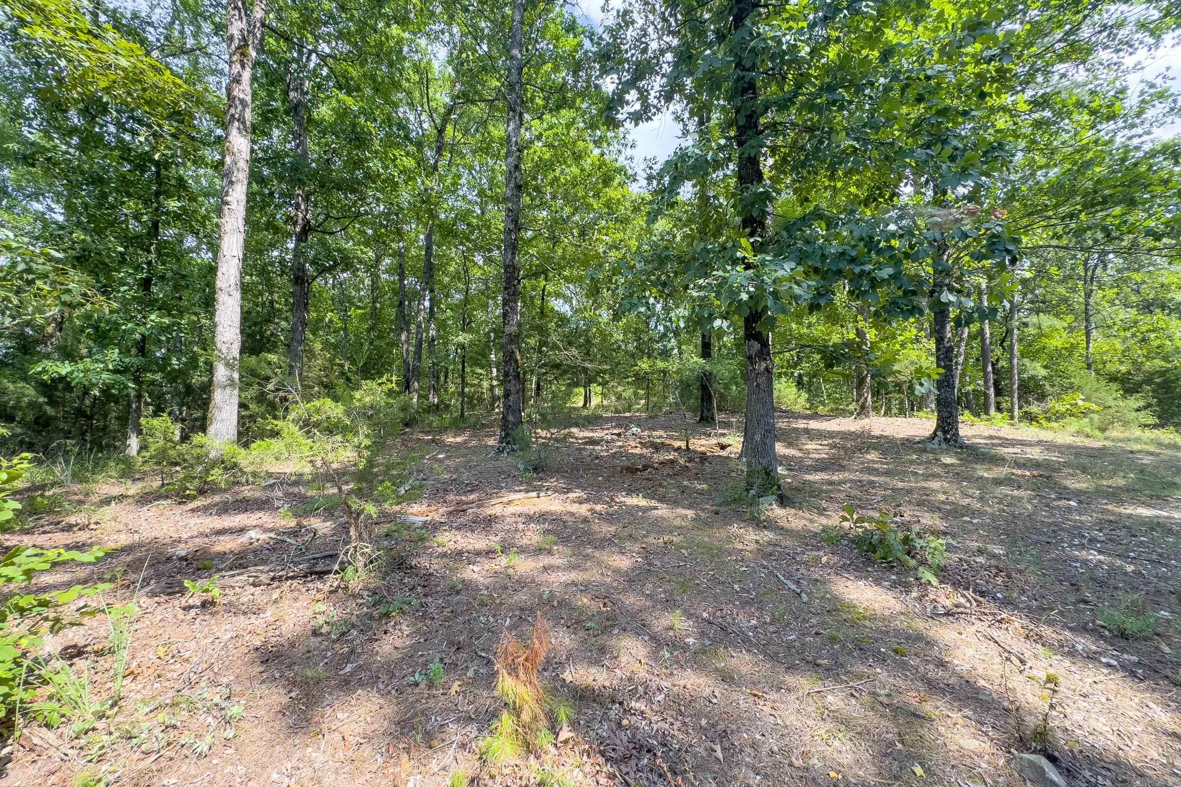 Tbd Byrd Vaught Property Photo 19