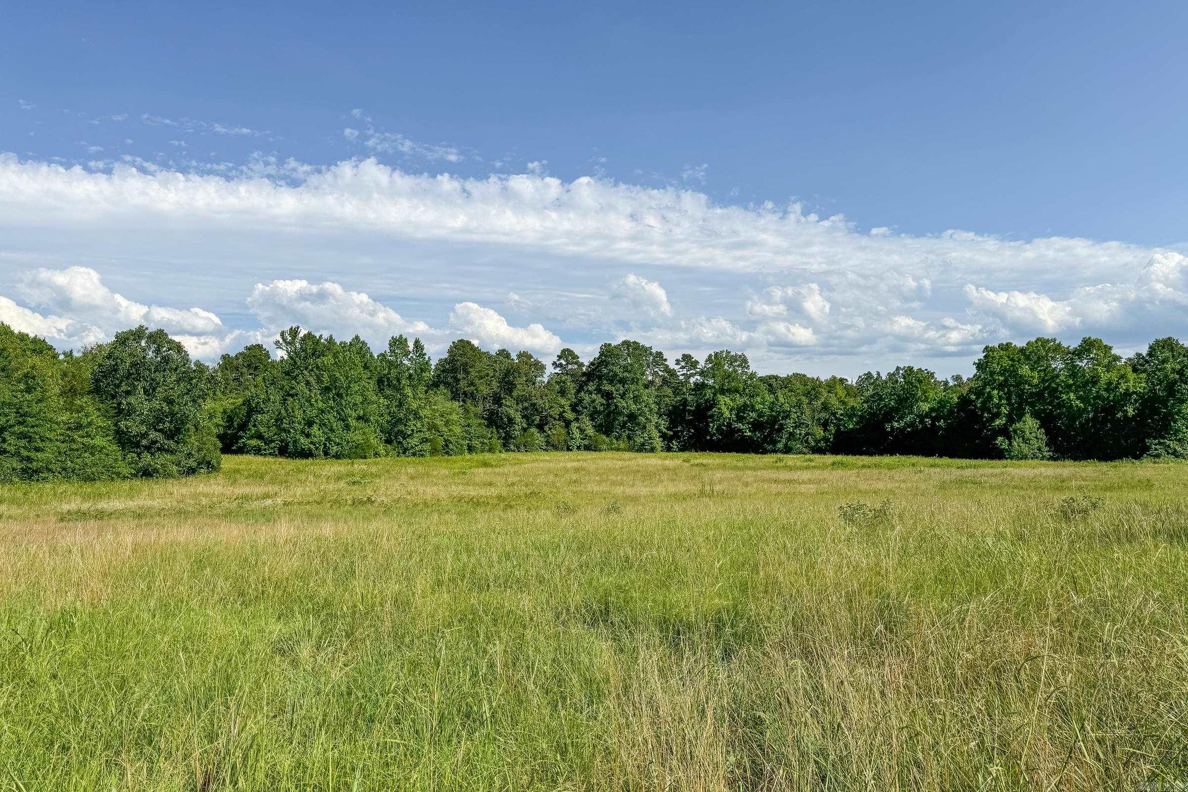 Tbd Byrd Vaught Property Photo 20