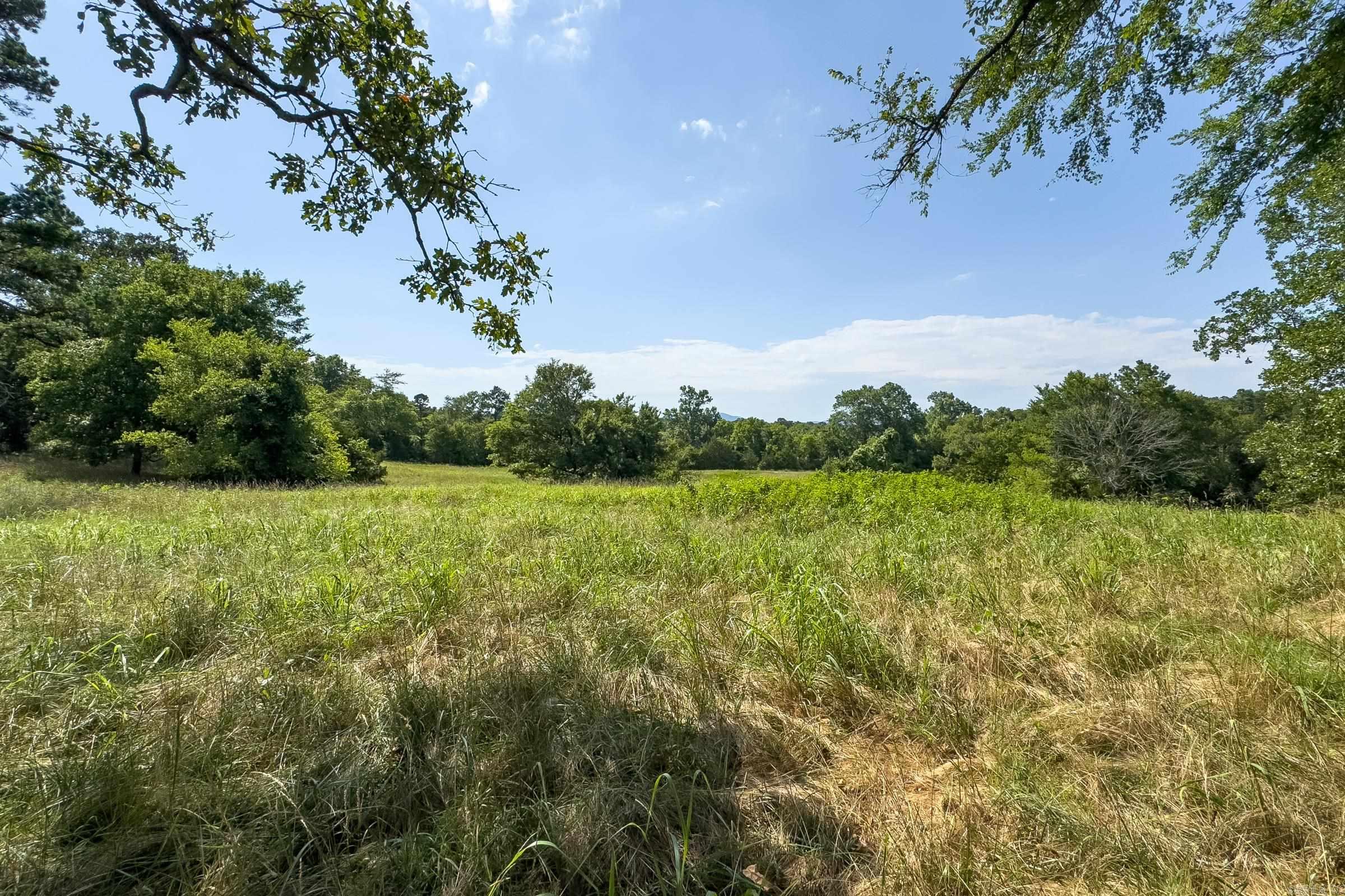 Tbd Byrd Vaught Property Photo 22