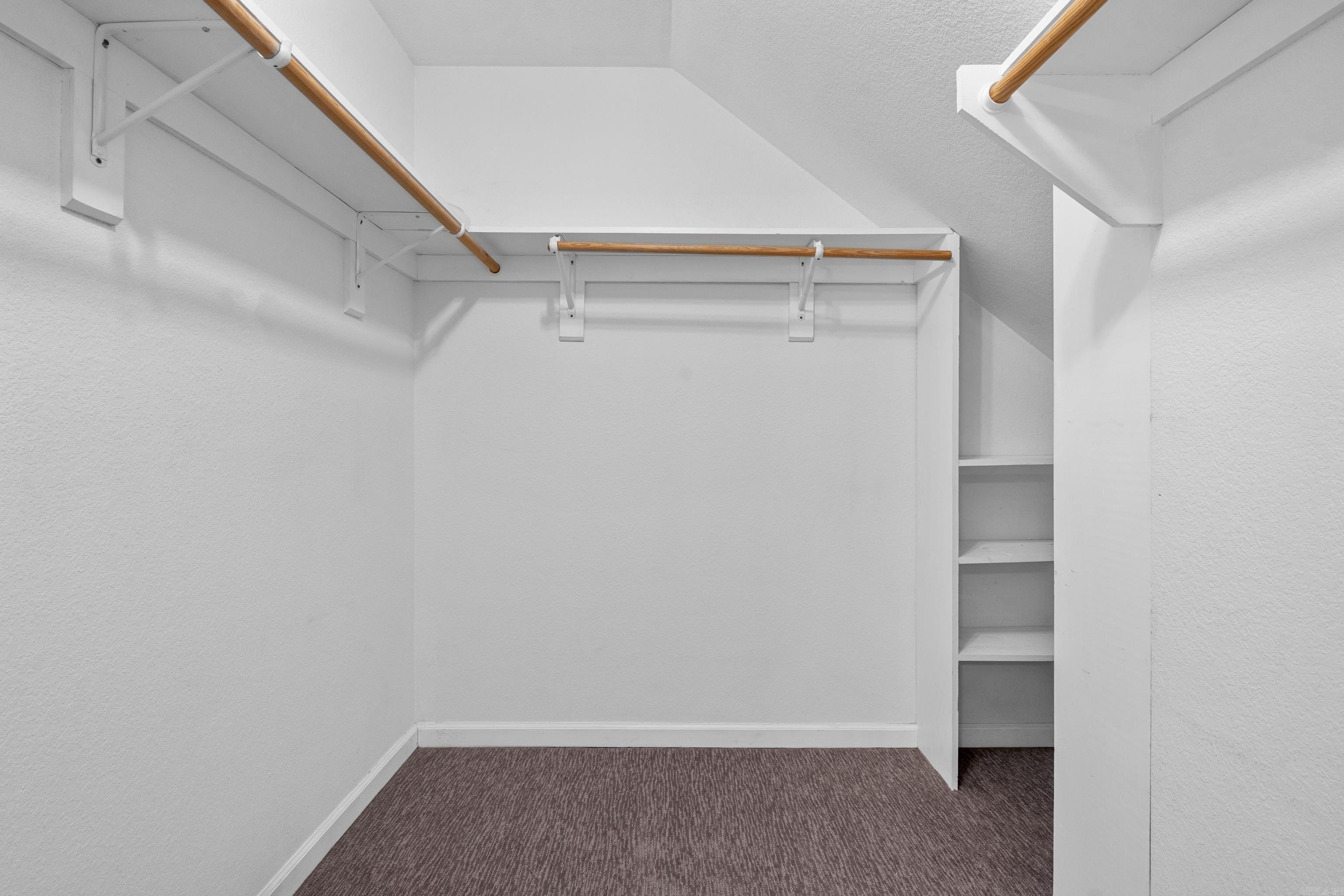 5 Kings Row Property Photo 20