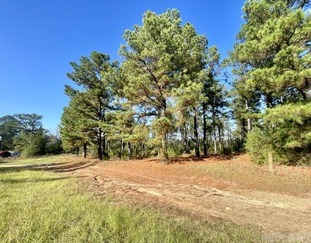 1407 Miller County 3 Property Photo 1