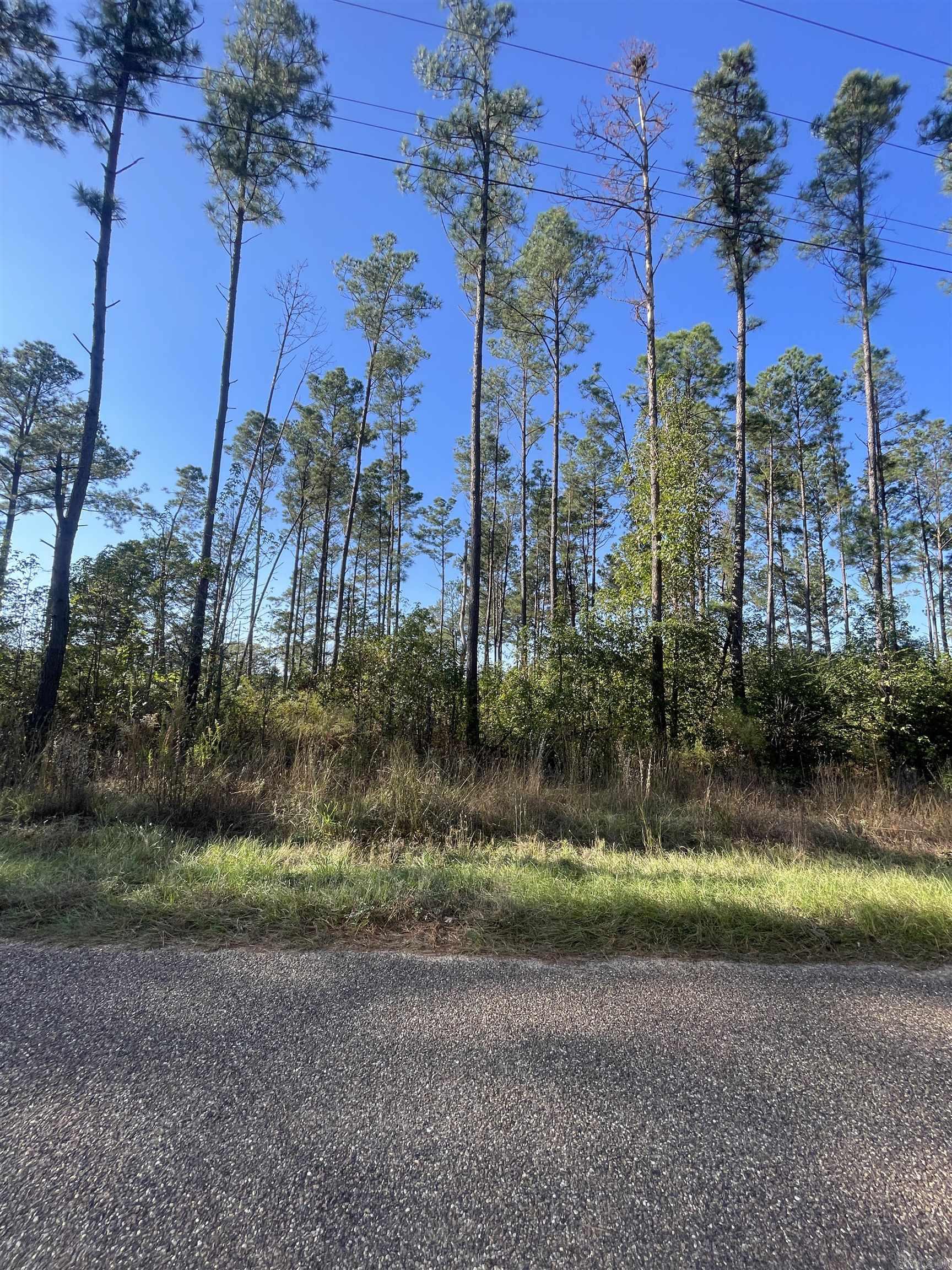1407 Miller County 3 Property Photo 2