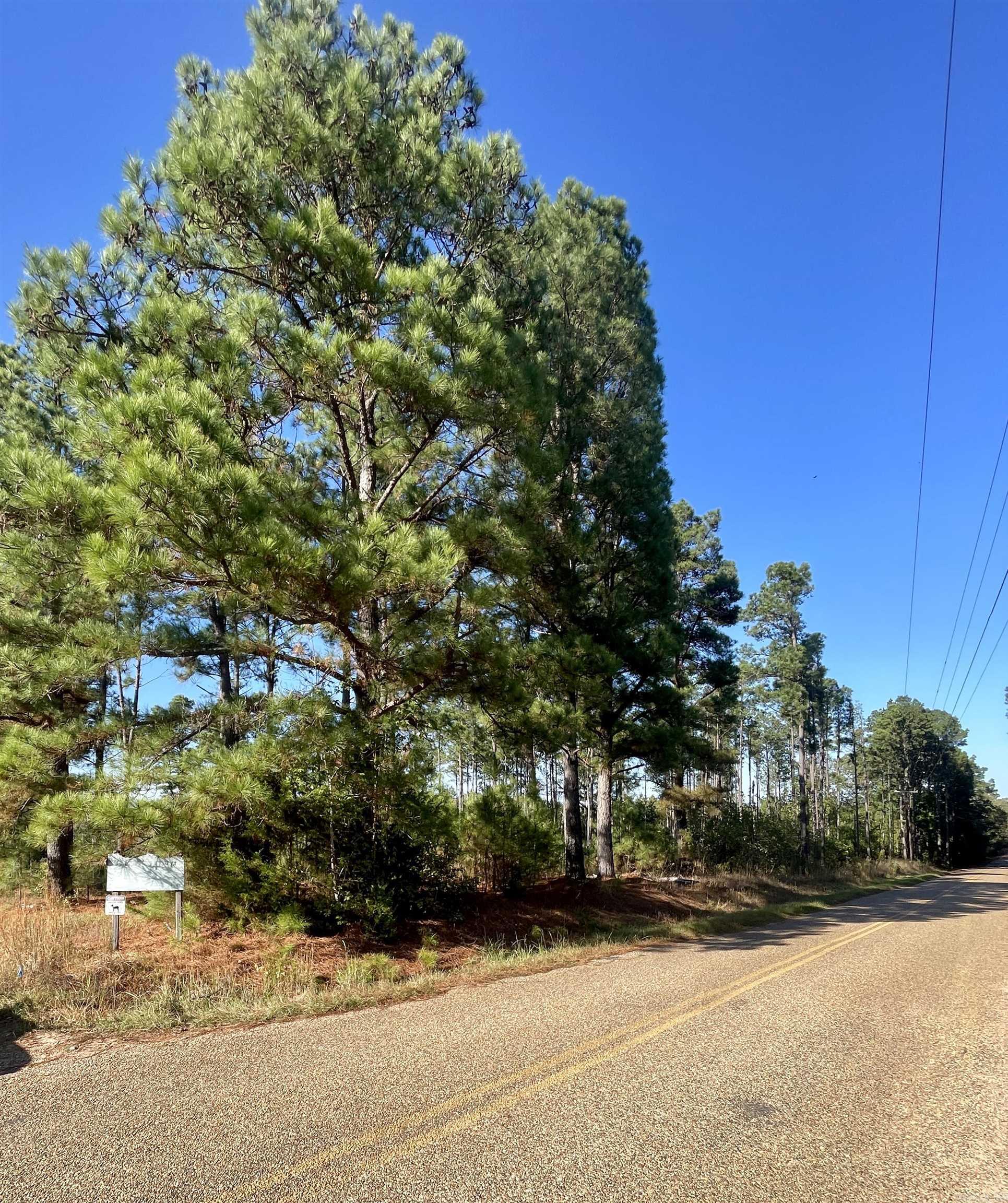 1407 Miller County 3 Property Photo 3