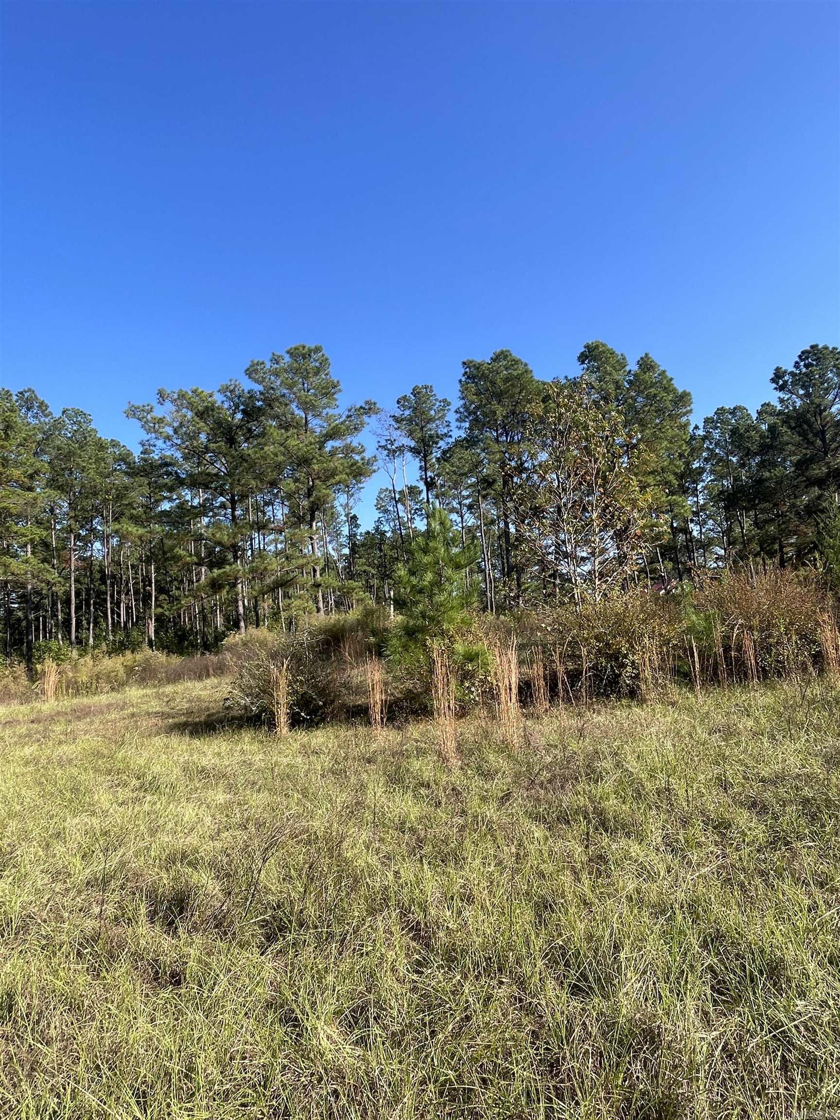 1407 Miller County 3 Property Photo 4