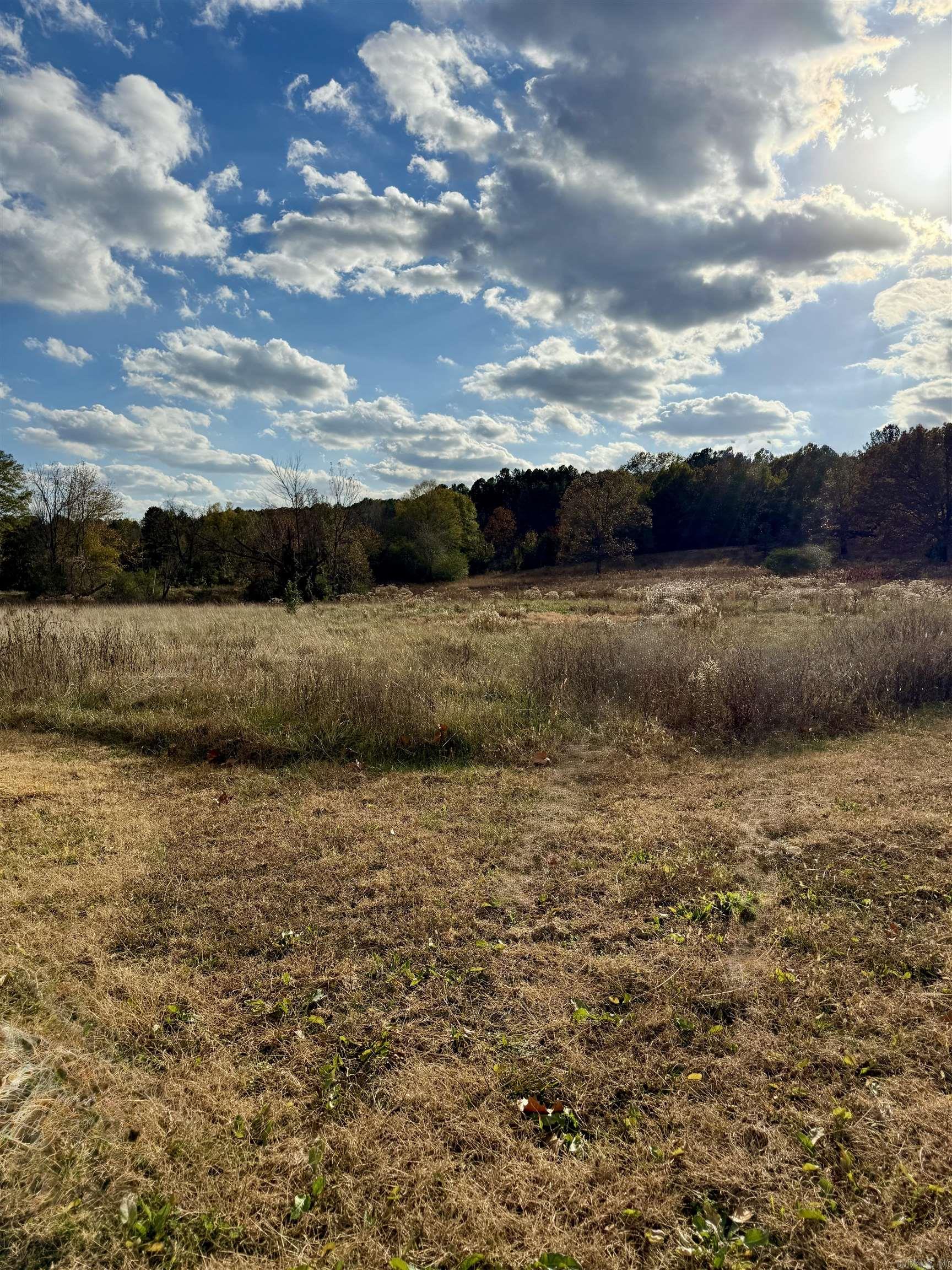 3739 Hwy 16 Property Photo 28