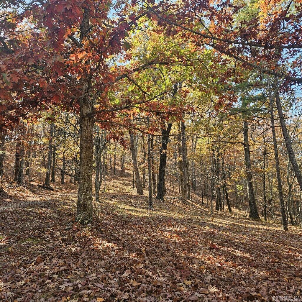 2874 Copper Hollow Trail Property Photo 29