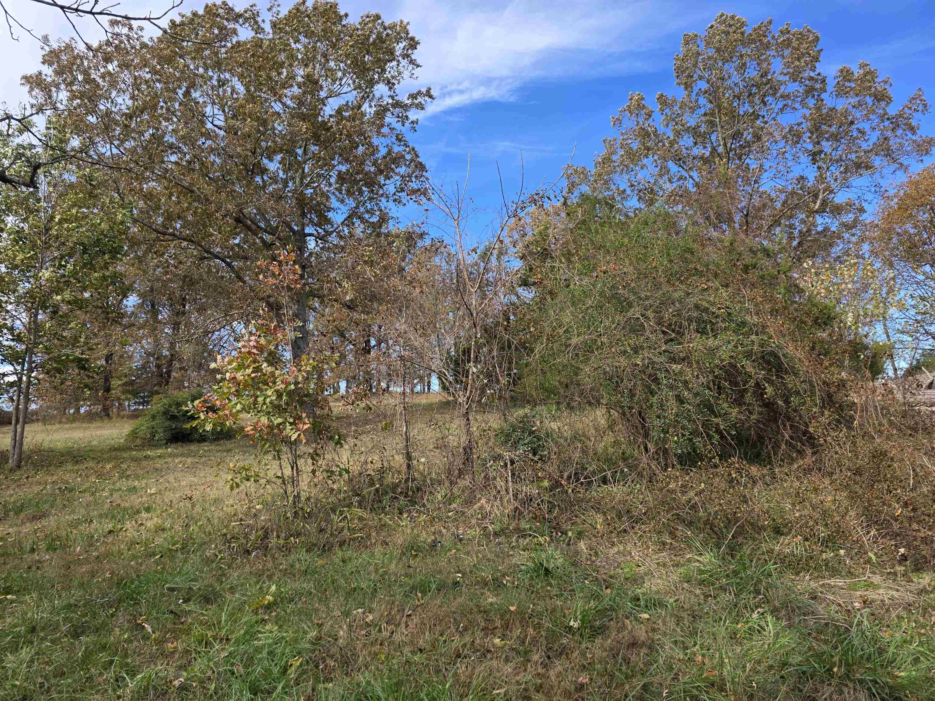 270 E Maxville Road Property Photo 3