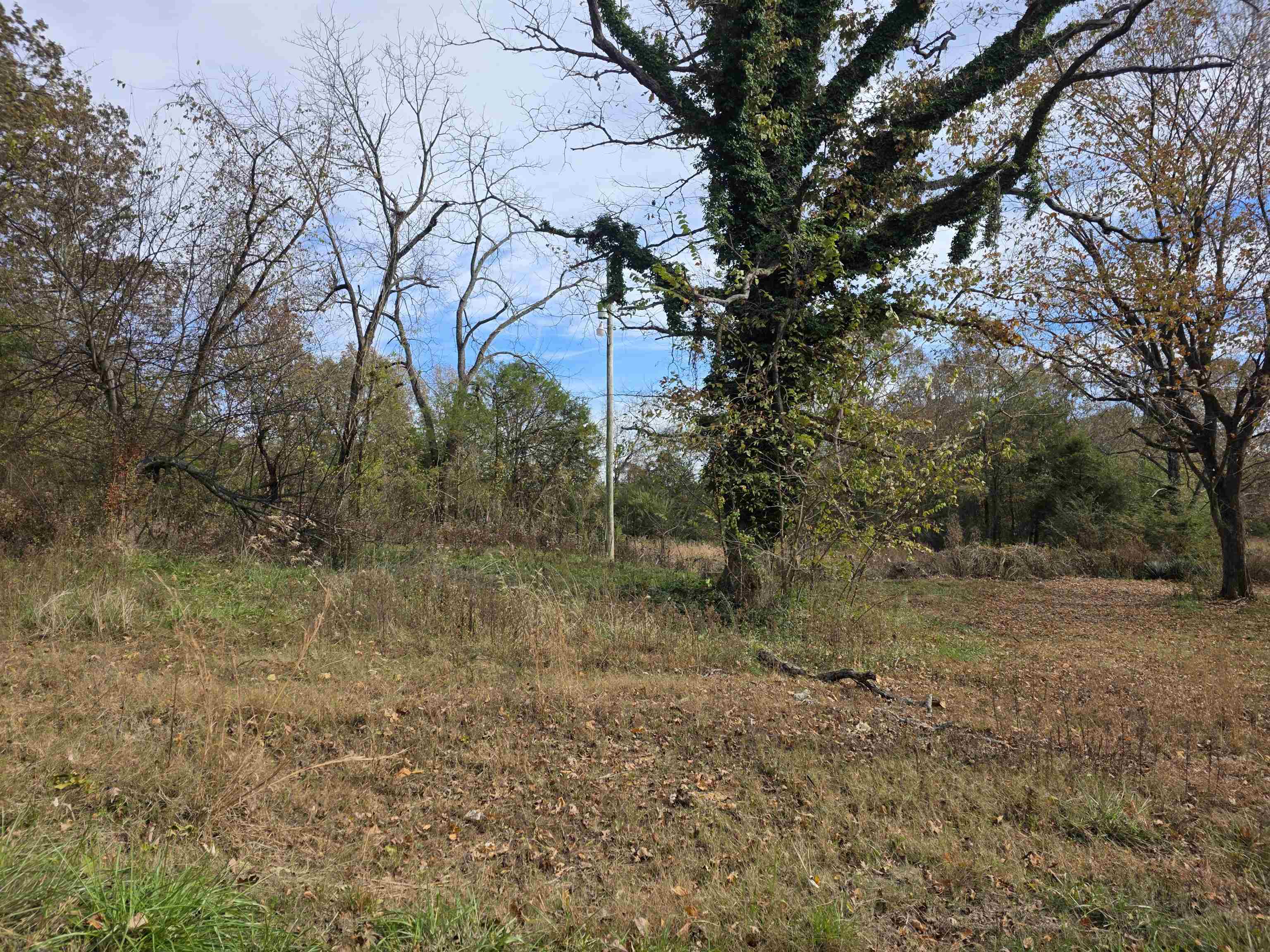 270 E Maxville Road Property Photo 7