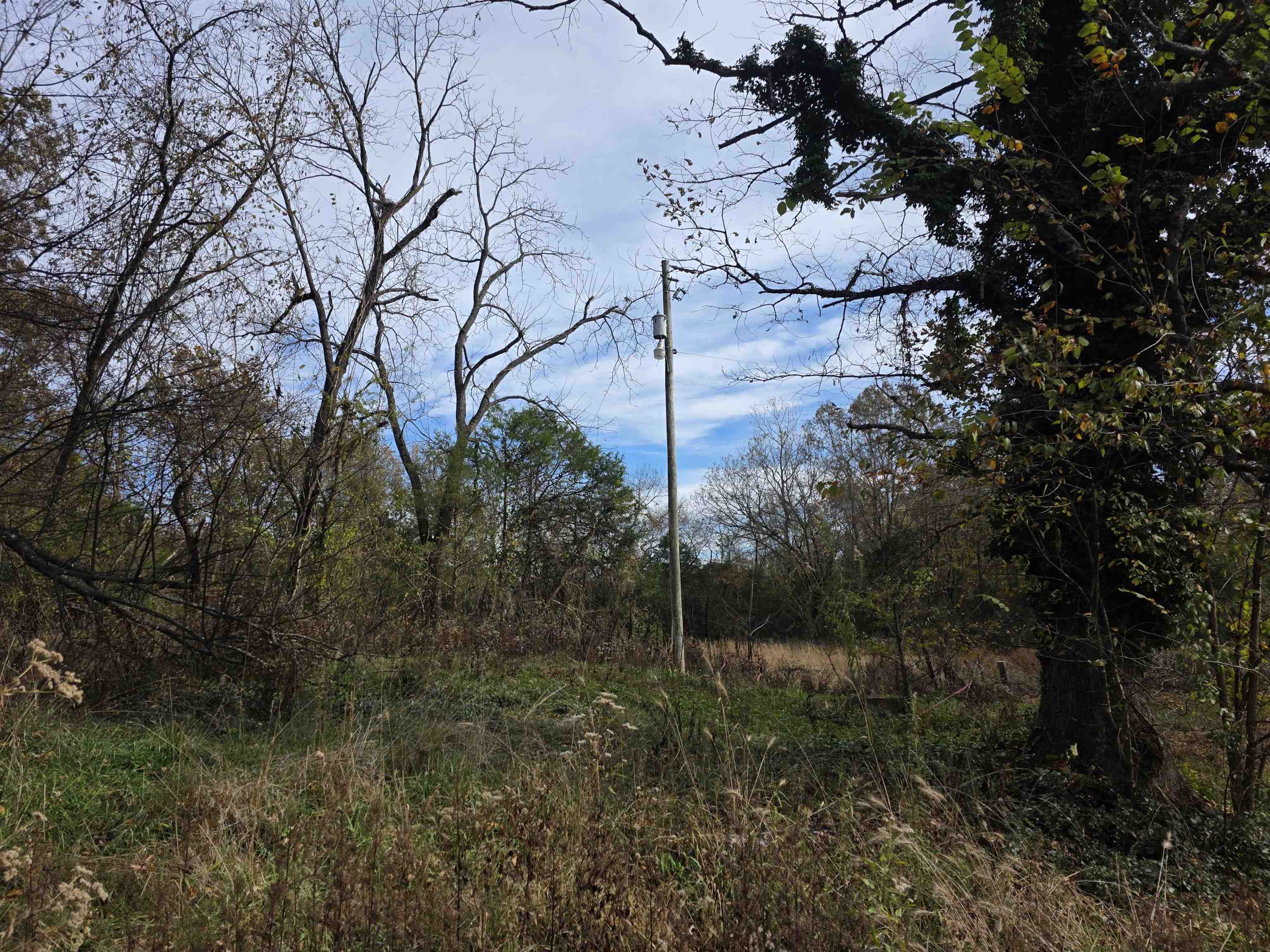 270 E Maxville Road Property Photo 8