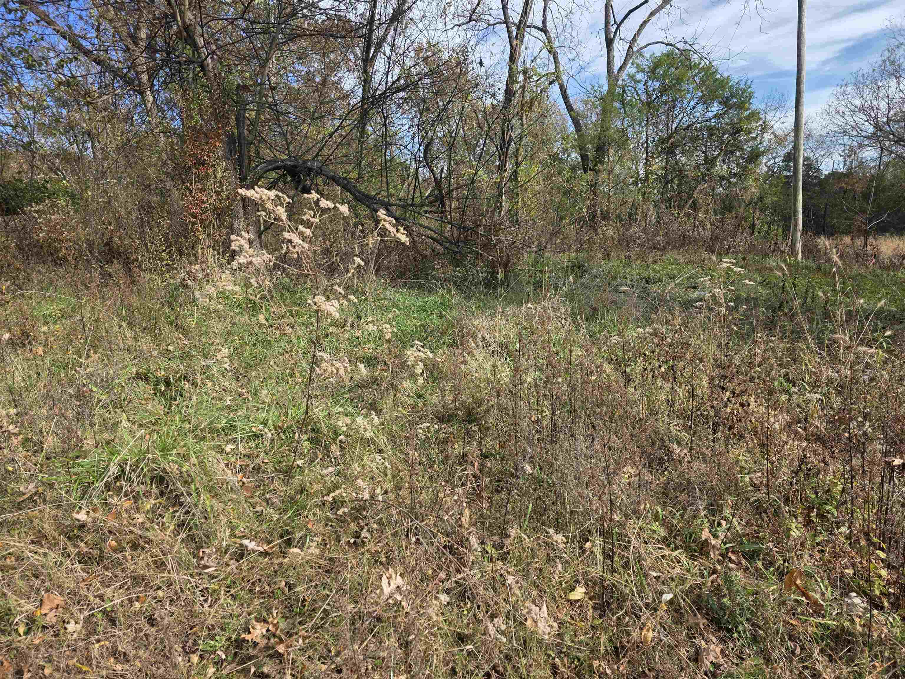 270 E Maxville Road Property Photo 10