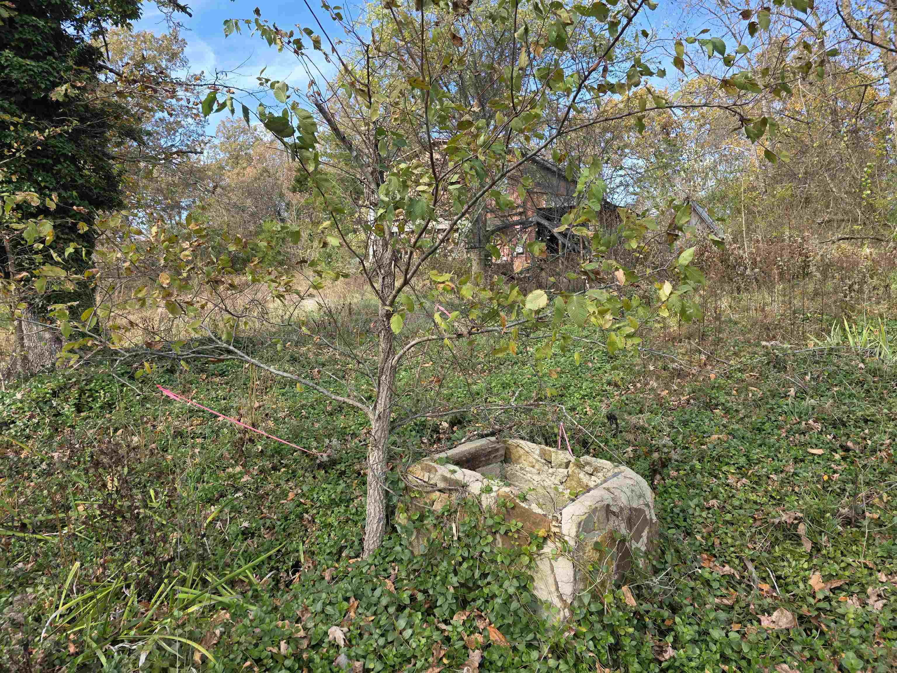 270 E Maxville Road Property Photo 12