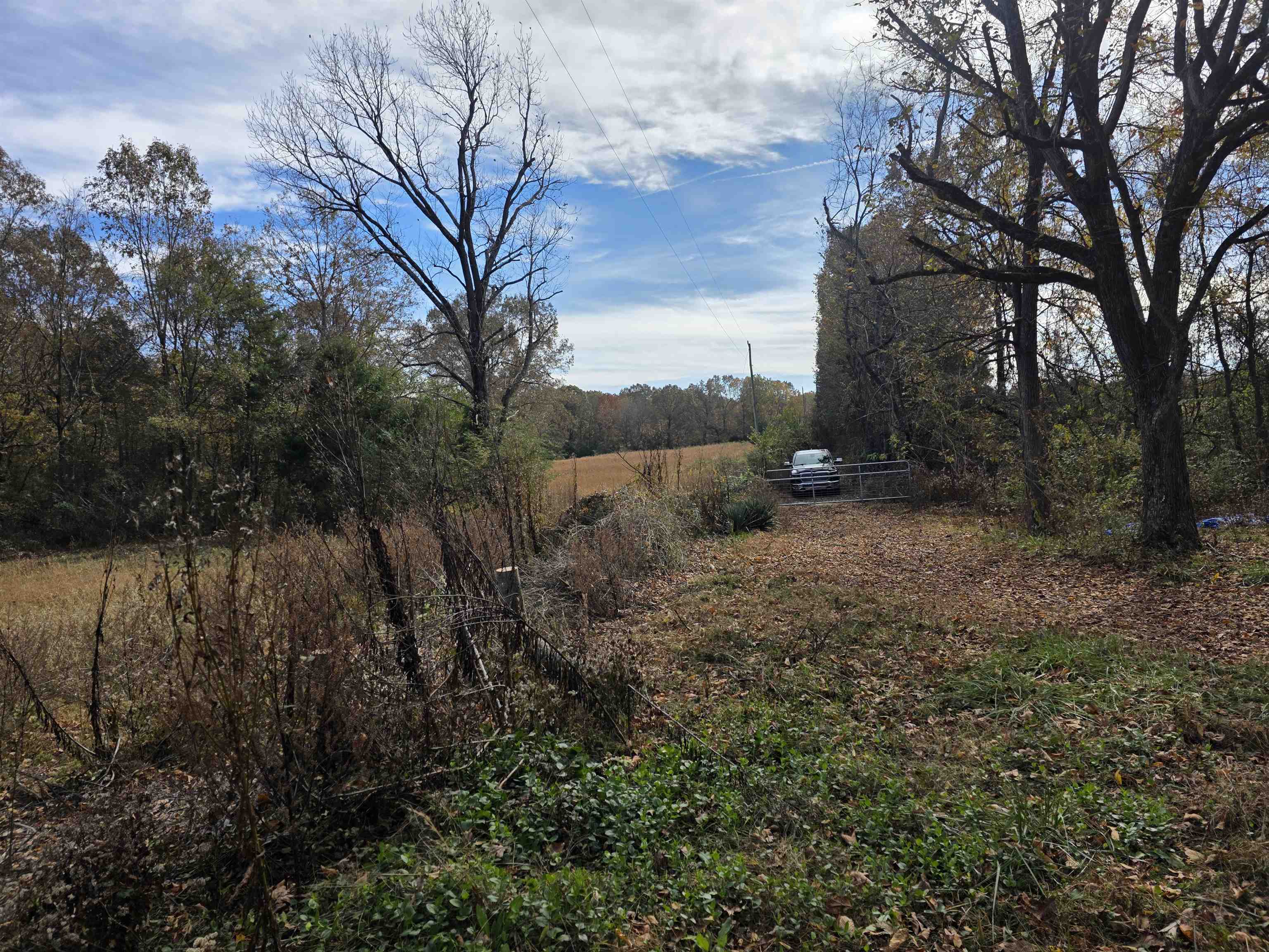270 E Maxville Road Property Photo 16