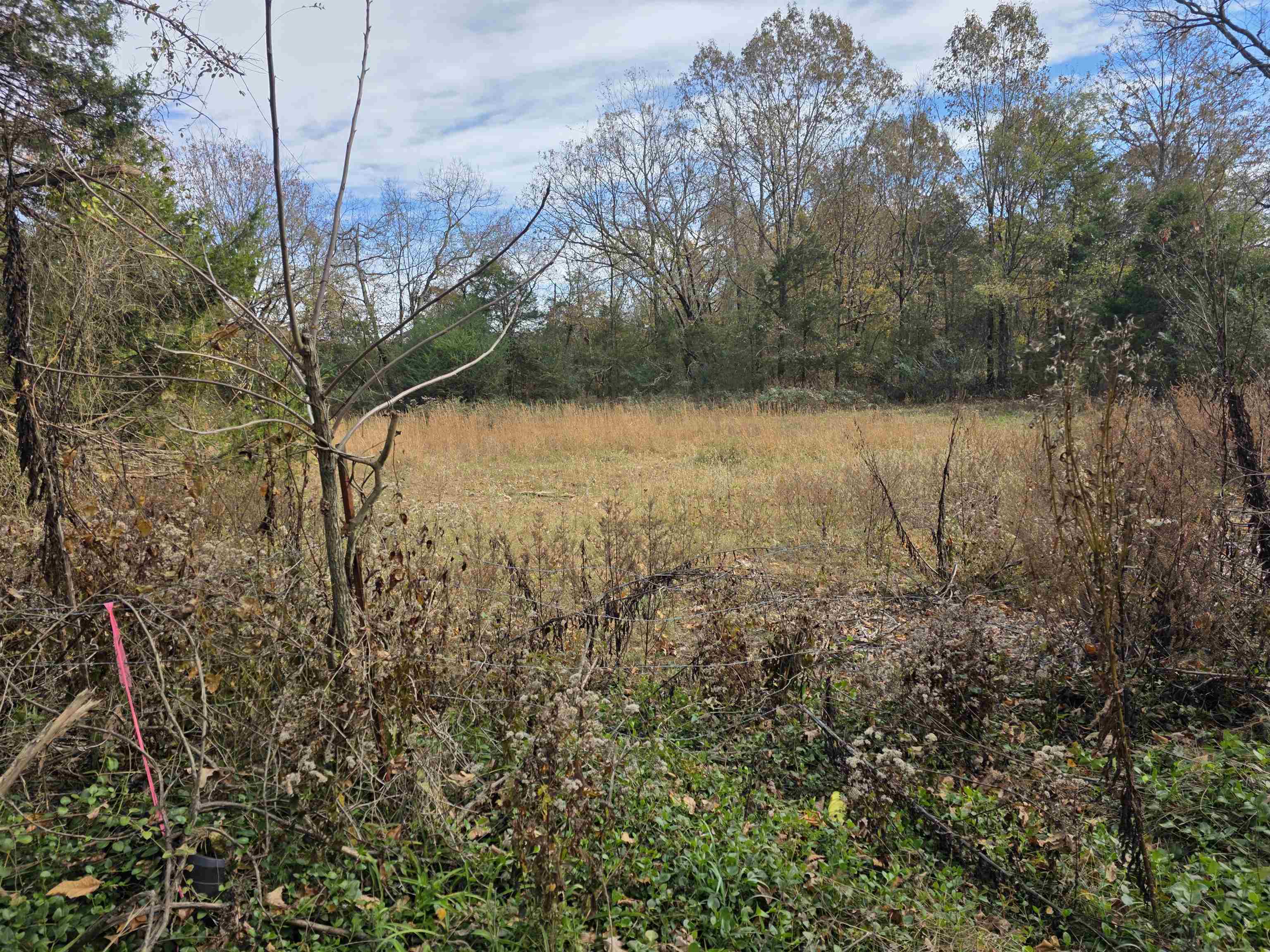 270 E Maxville Road Property Photo 17