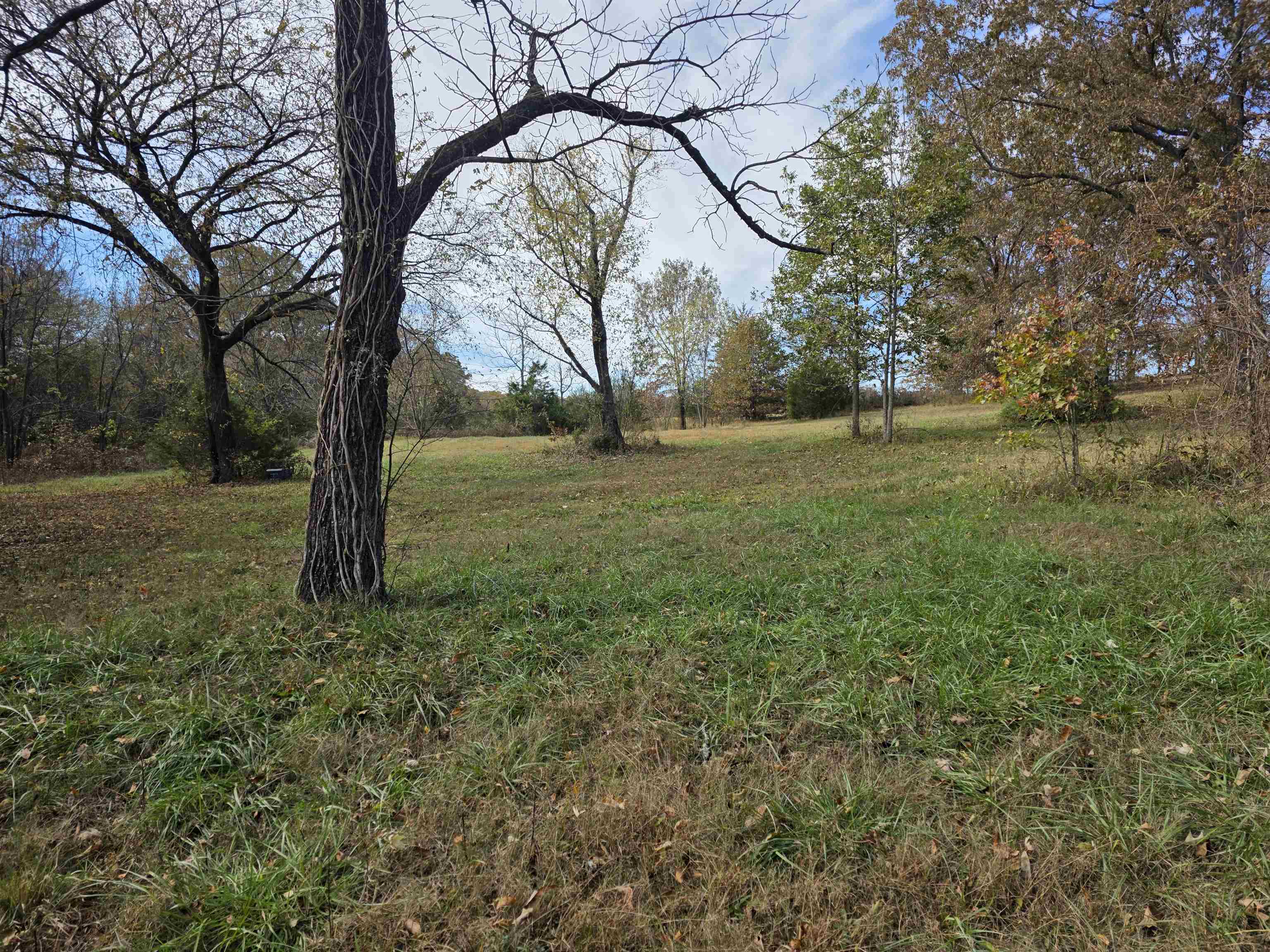 270 E Maxville Road Property Photo 22