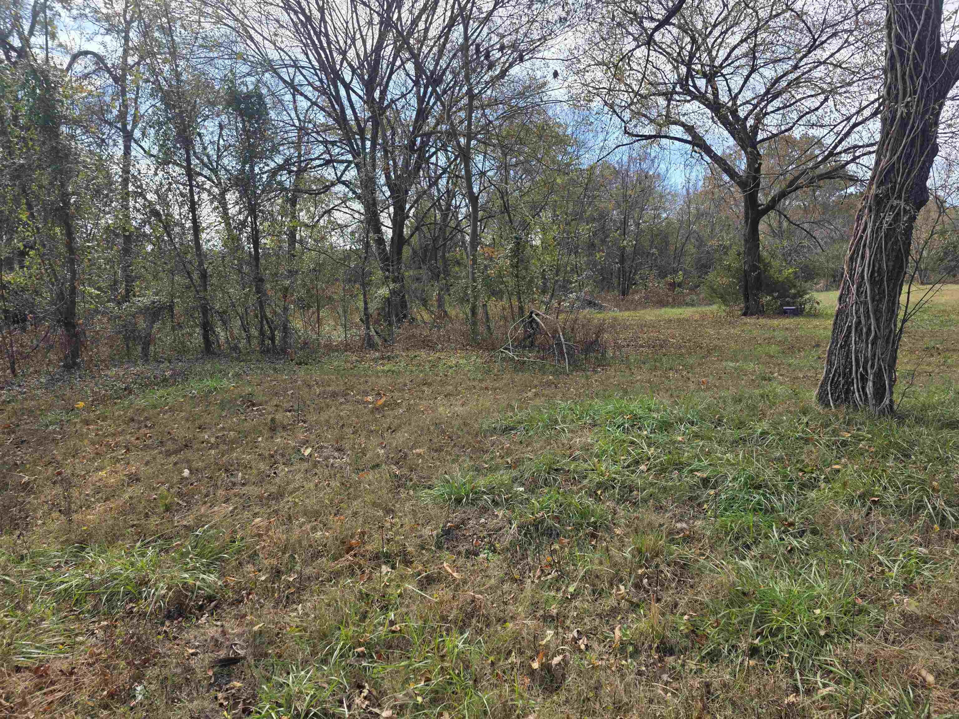 270 E Maxville Road Property Photo 23