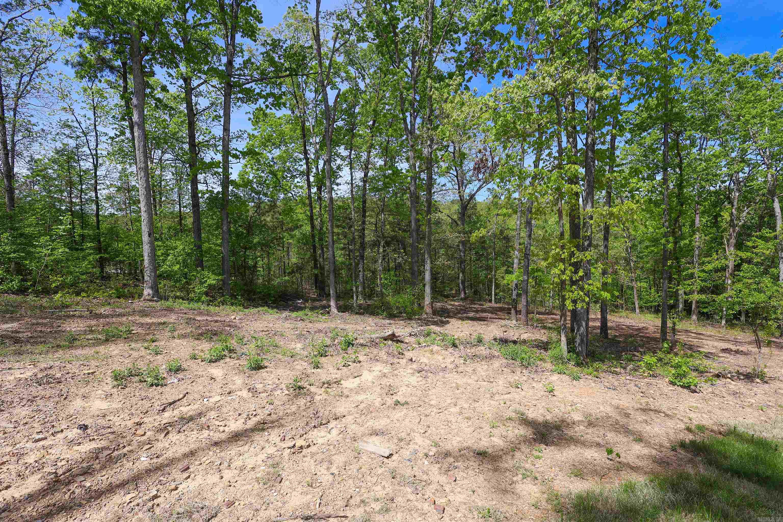 171 Old Oak Trail Property Photo 50