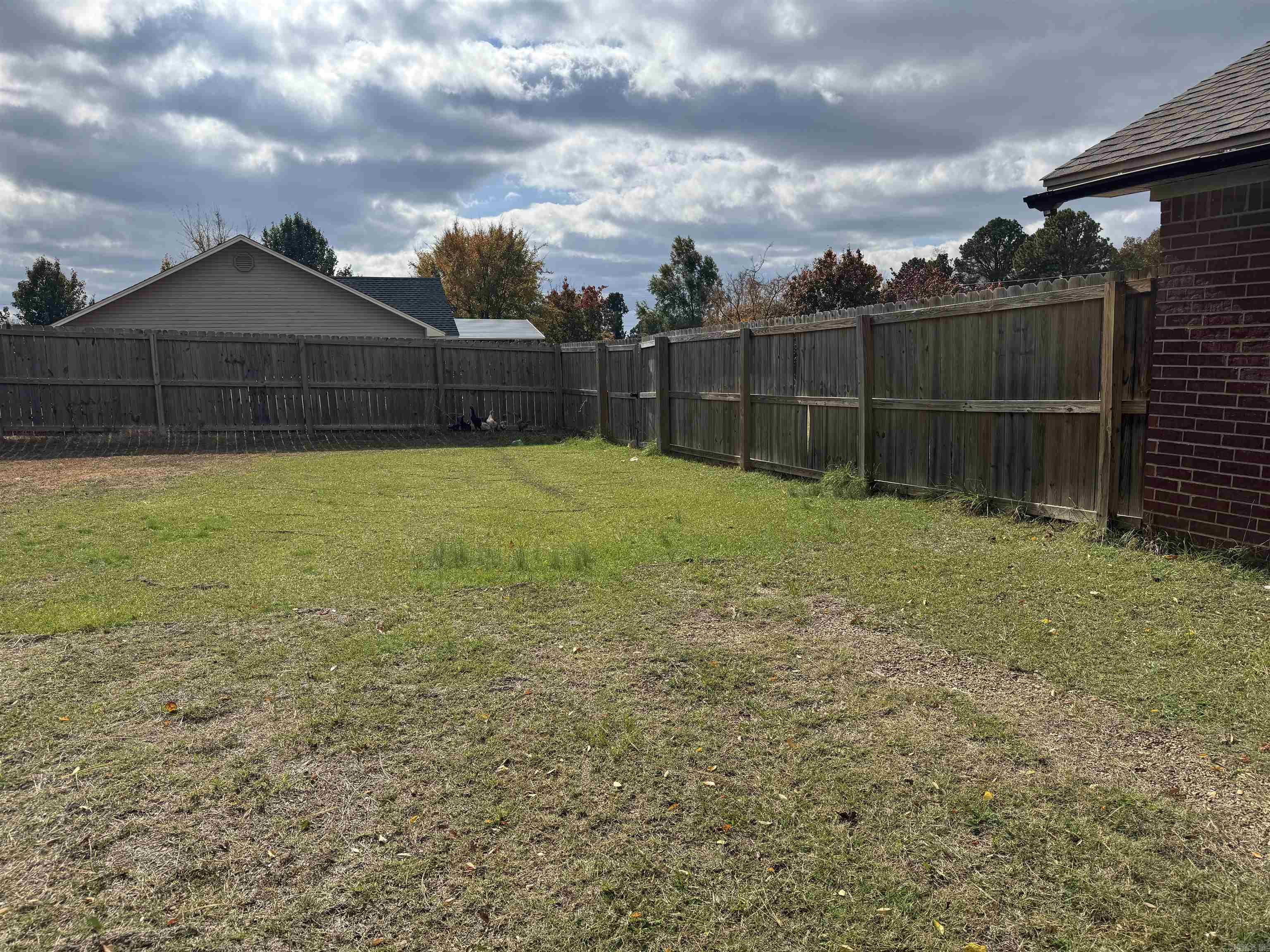 2097 N Highway 21 Property Photo 4